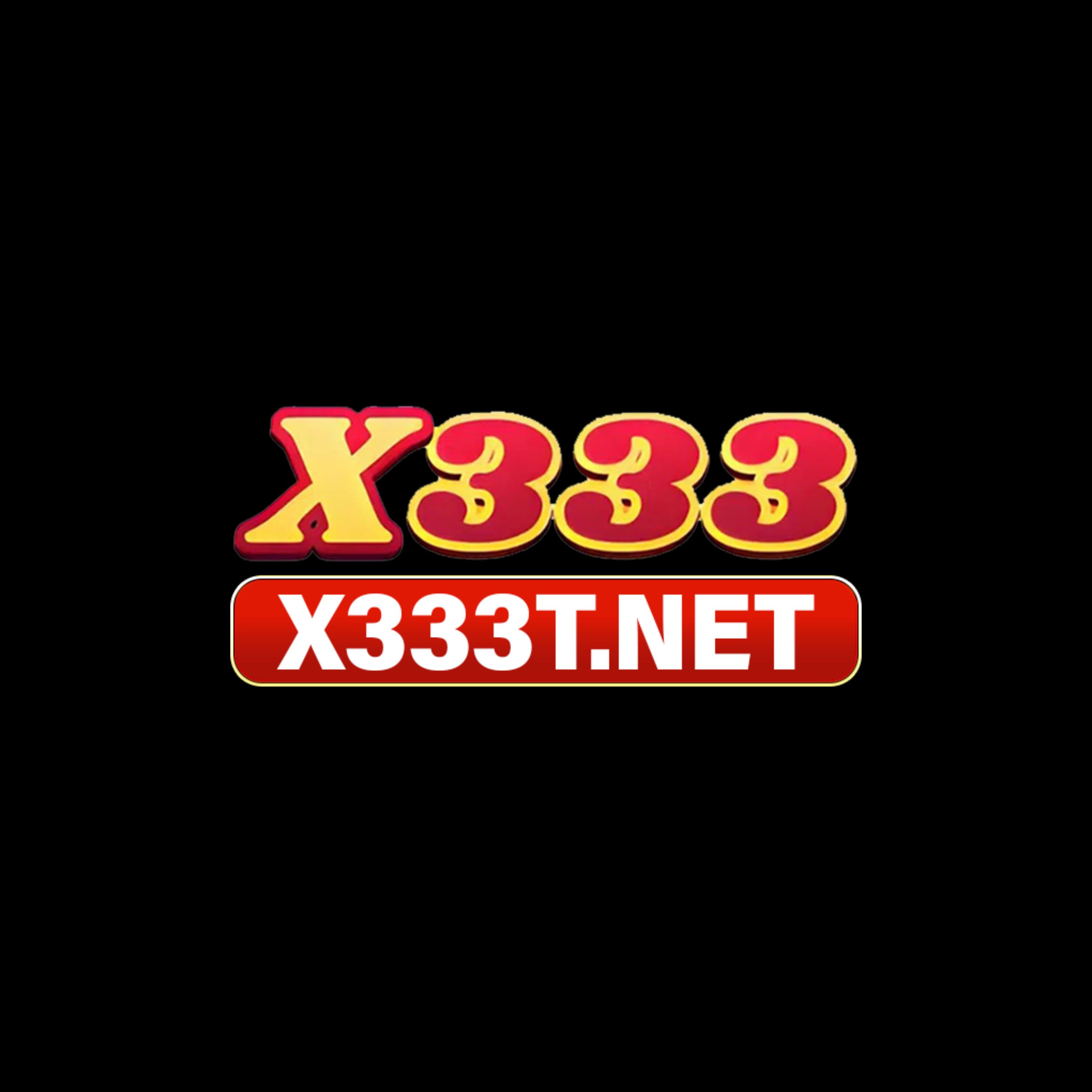 X333