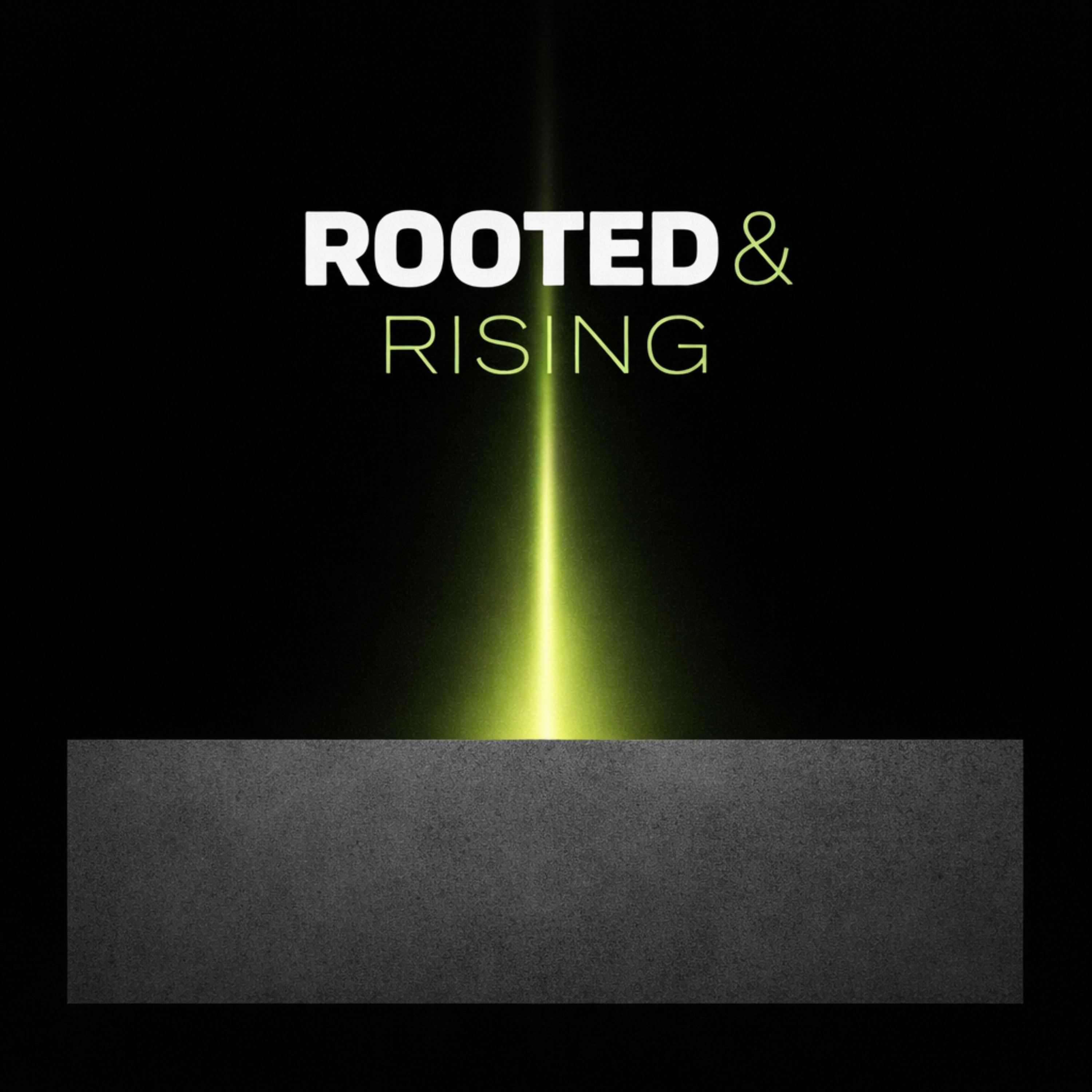 Rooted & Rising