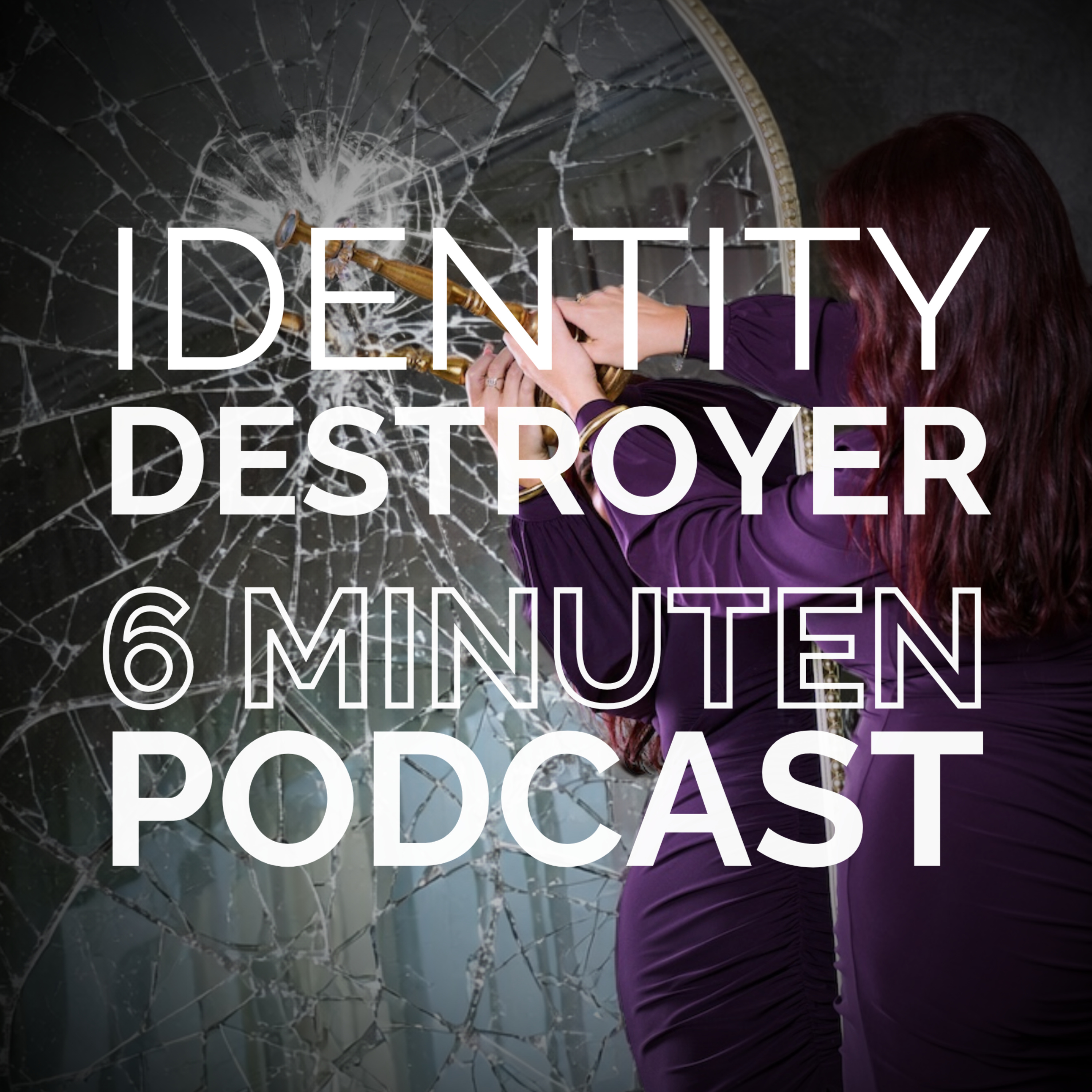 Identity Destroyer cover art