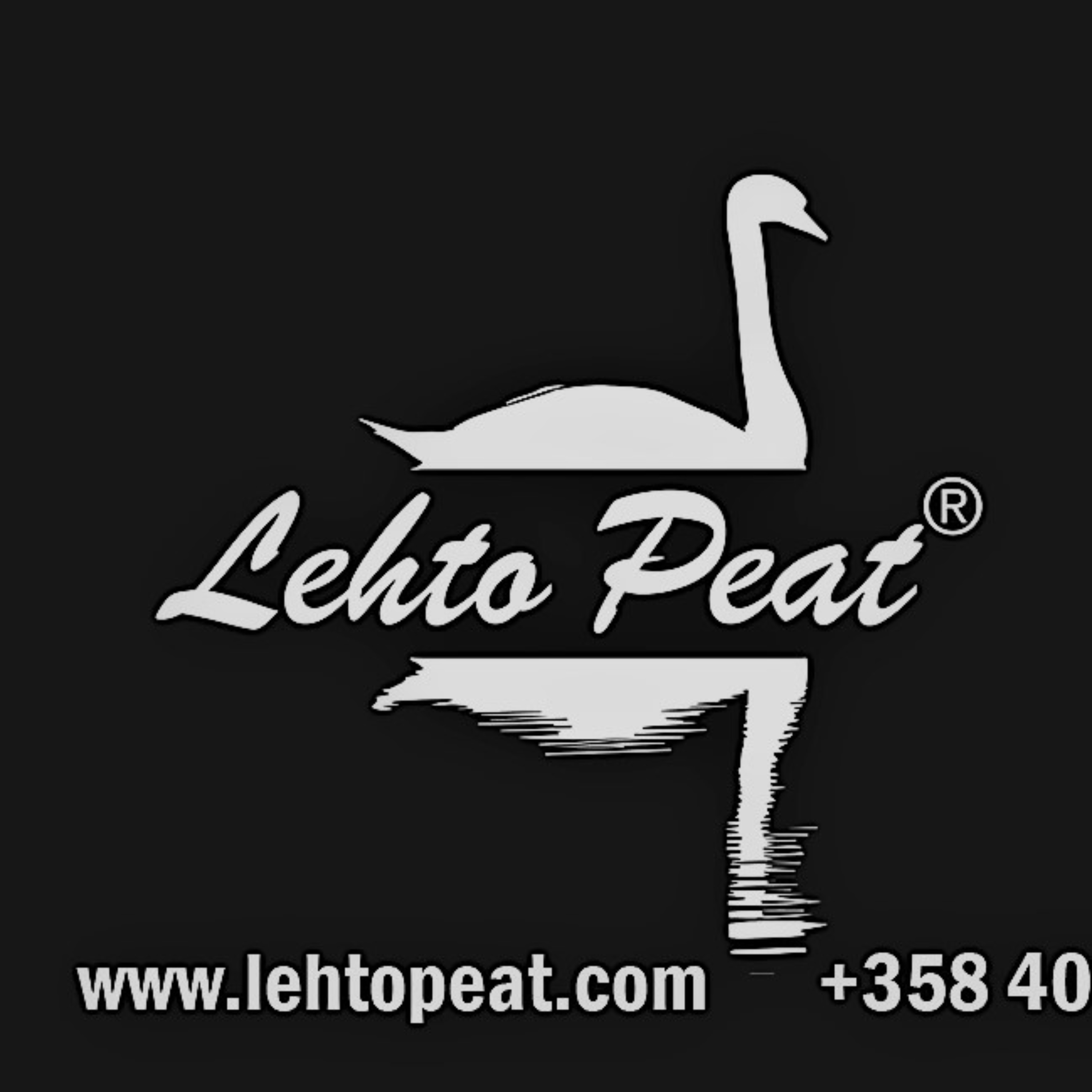 Luonnon parantava voima – Hyvinvointia tuhansien vuosien takaa