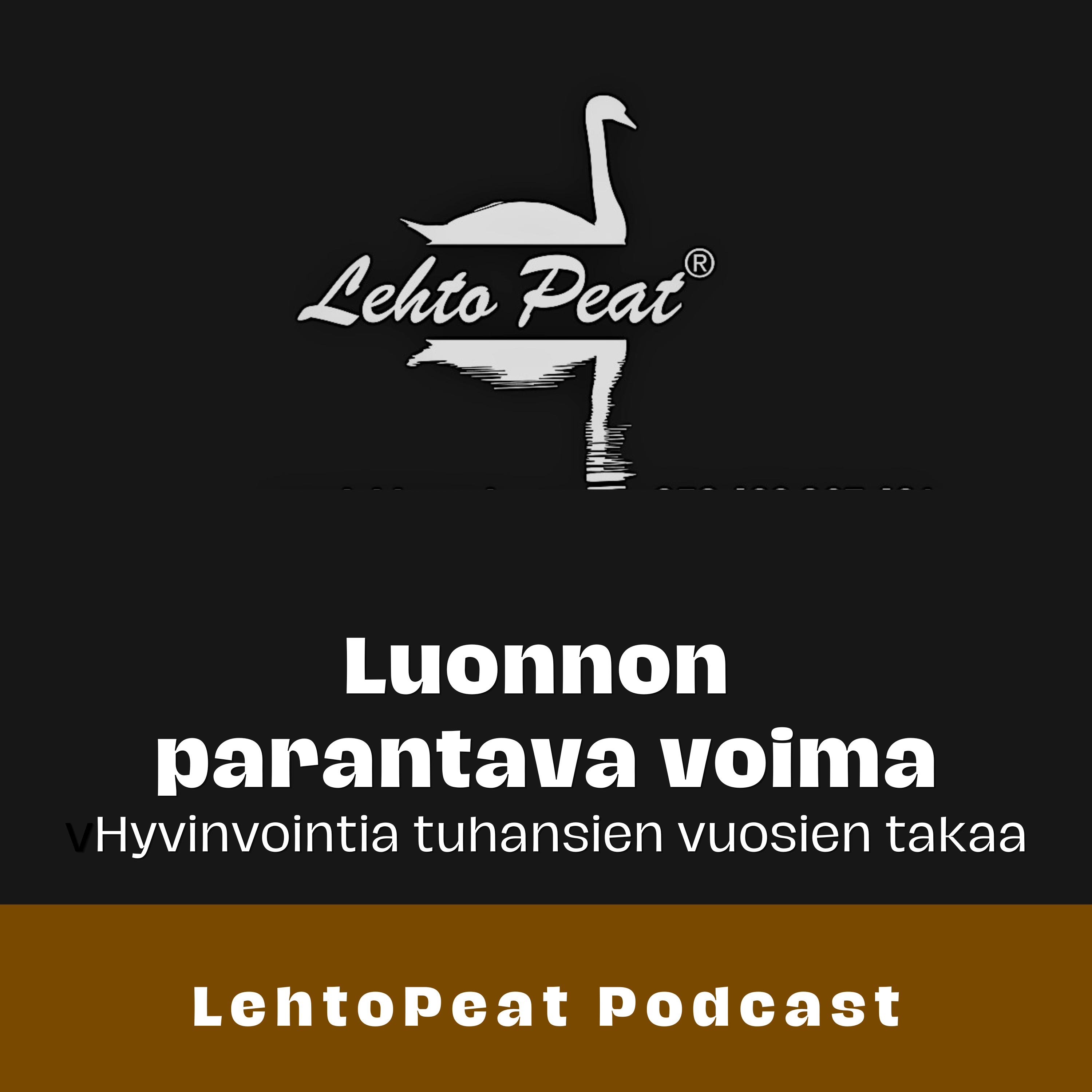 Luonnon parantava voima – Hyvinvointia tuhansien vuosien takaa podcast artwork