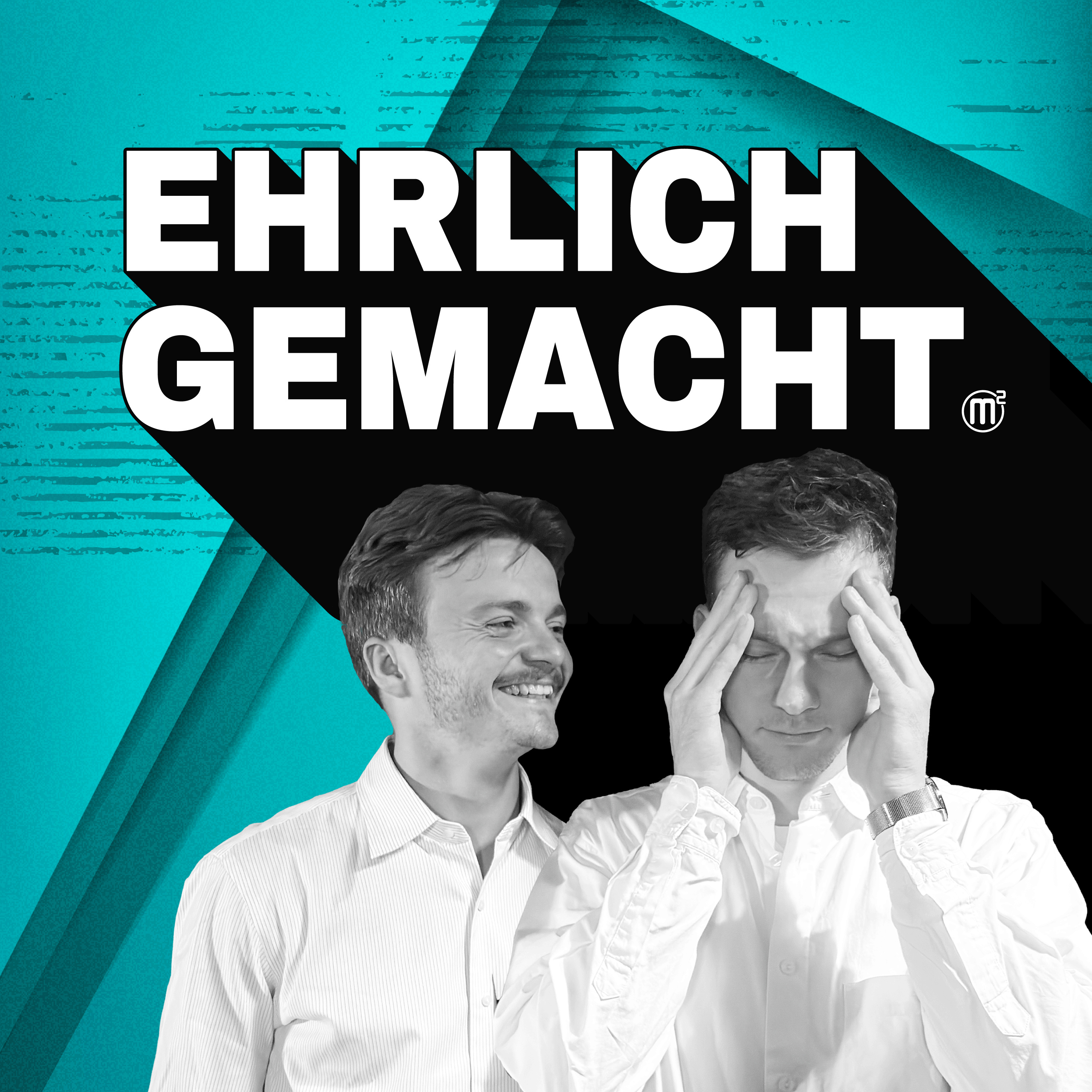 Ehrlichgemacht cover art