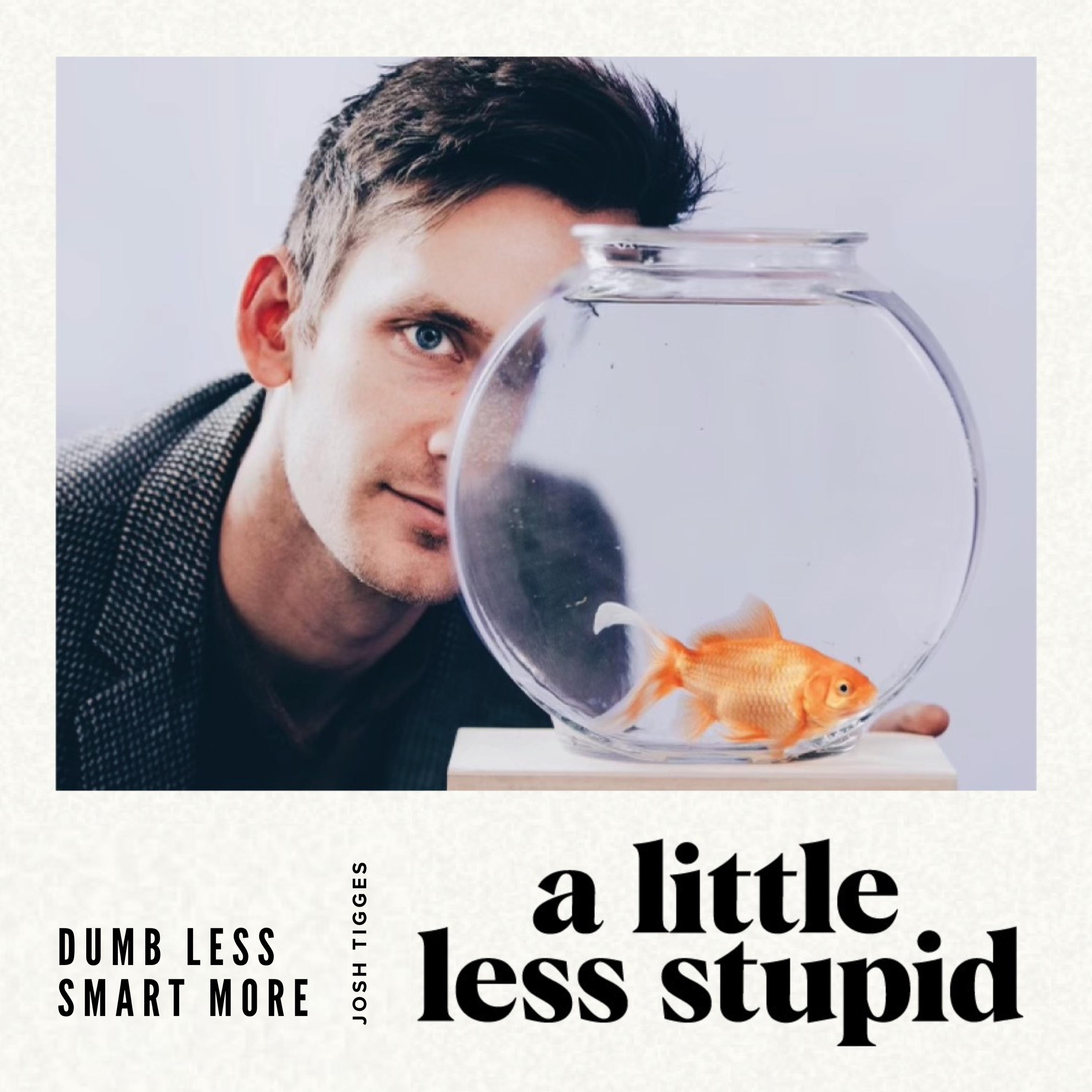 A Little Less Stupid podcast artwork