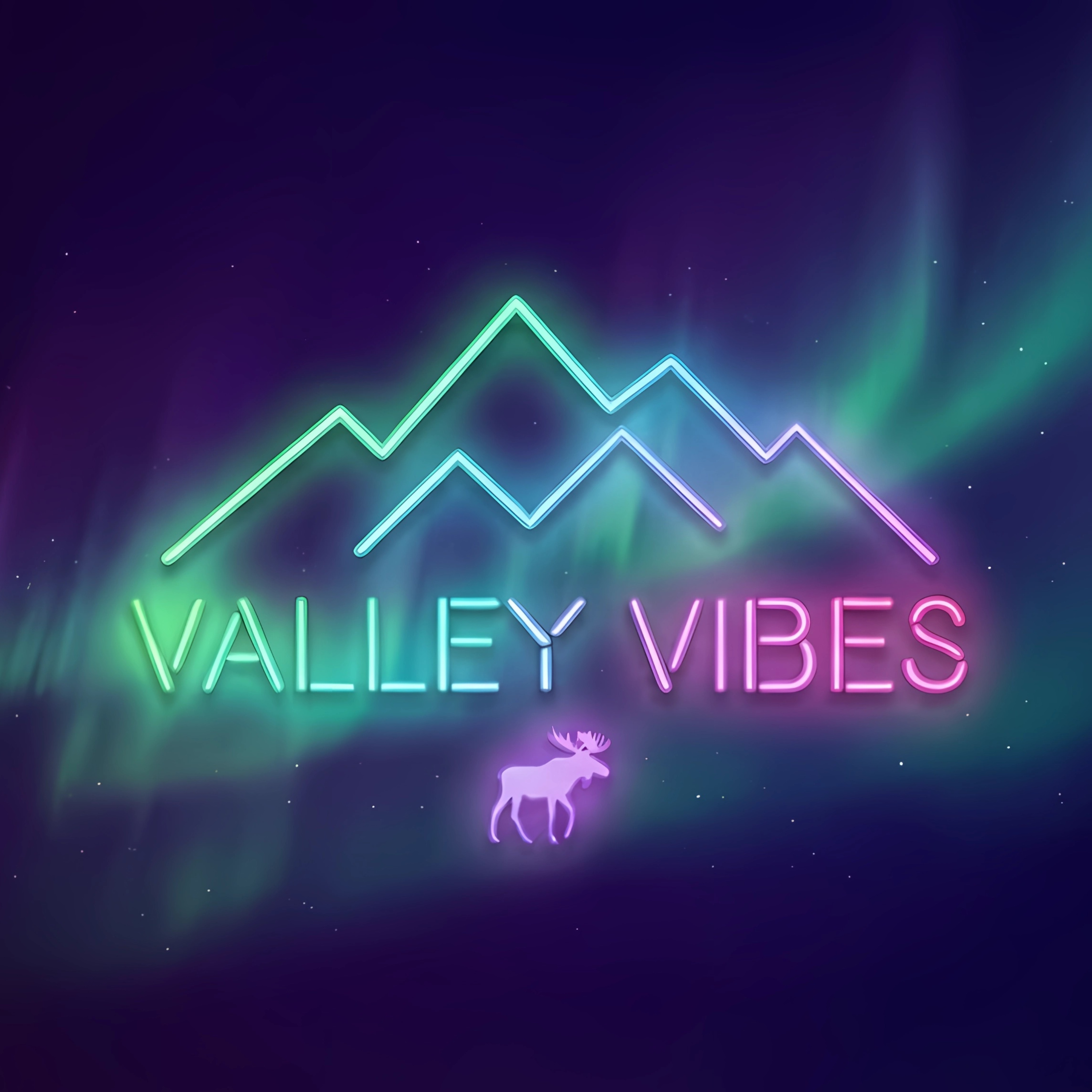 VALLEY VIBES podcast artwork