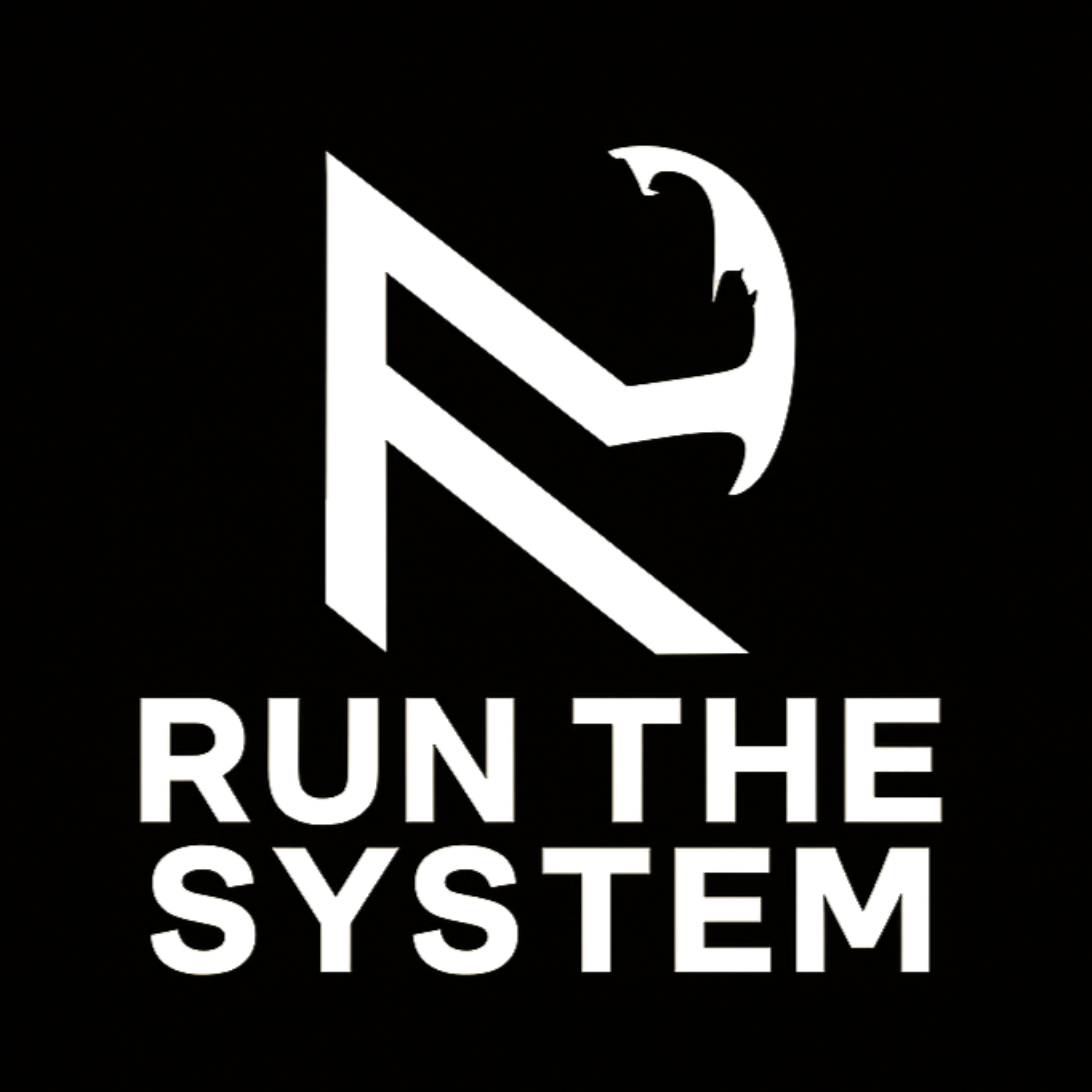 Run the System cover art
