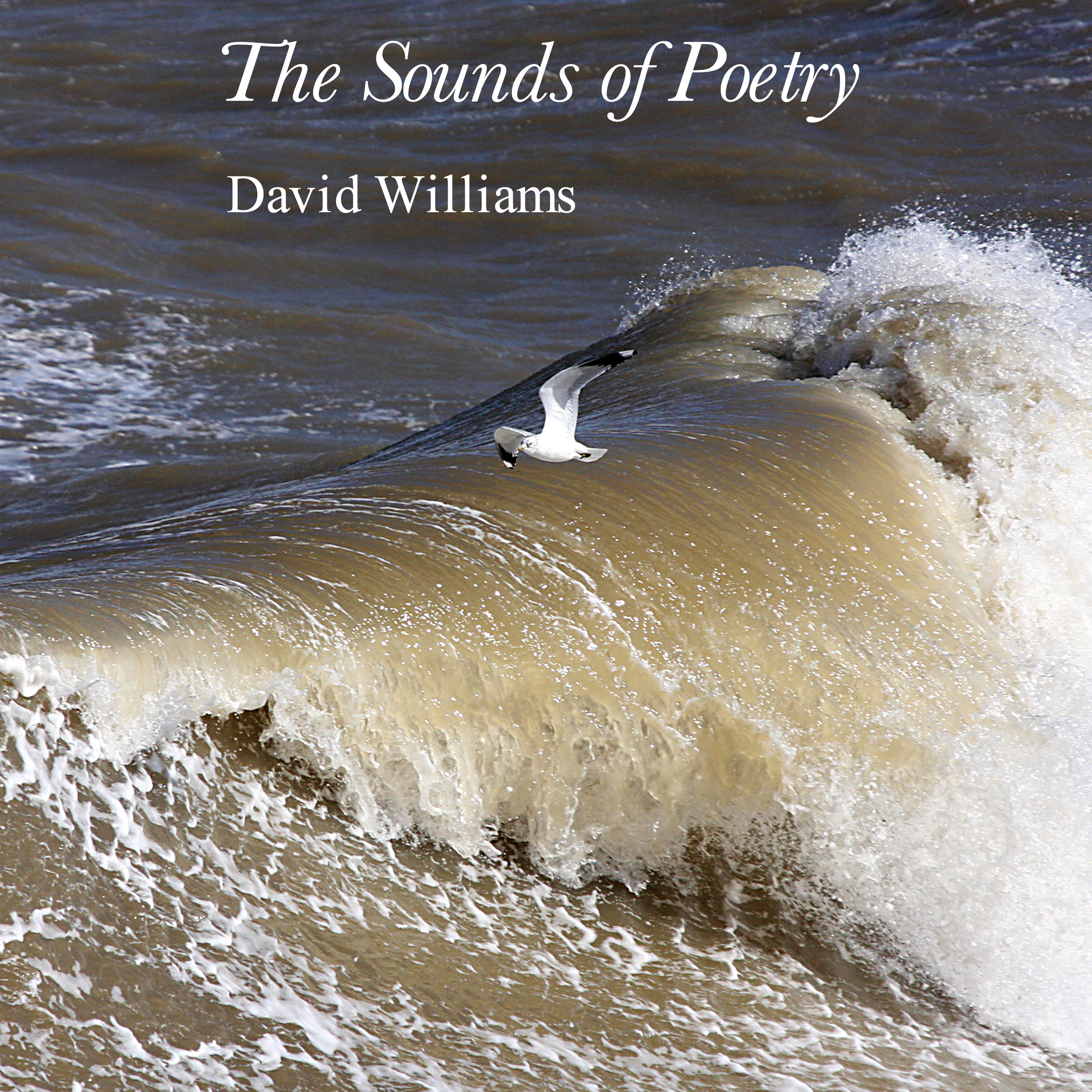 The Sounds of Poetry - David Williams podcast artwork