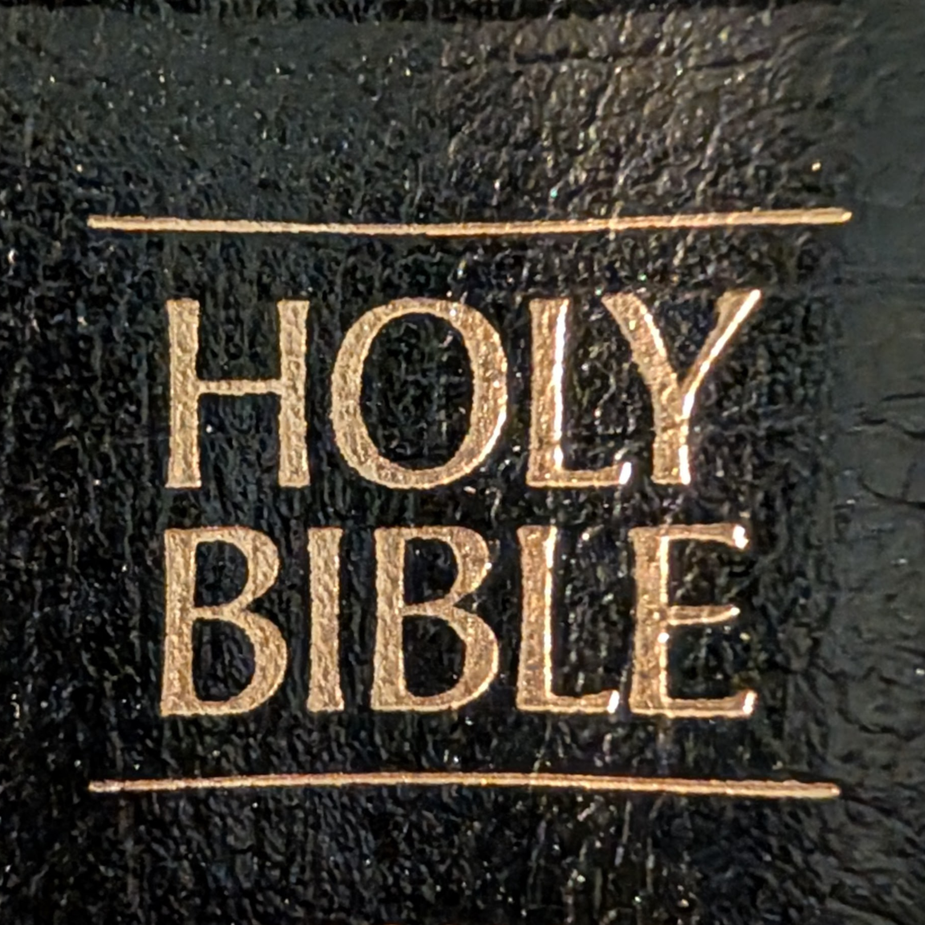 Bible Perplexities