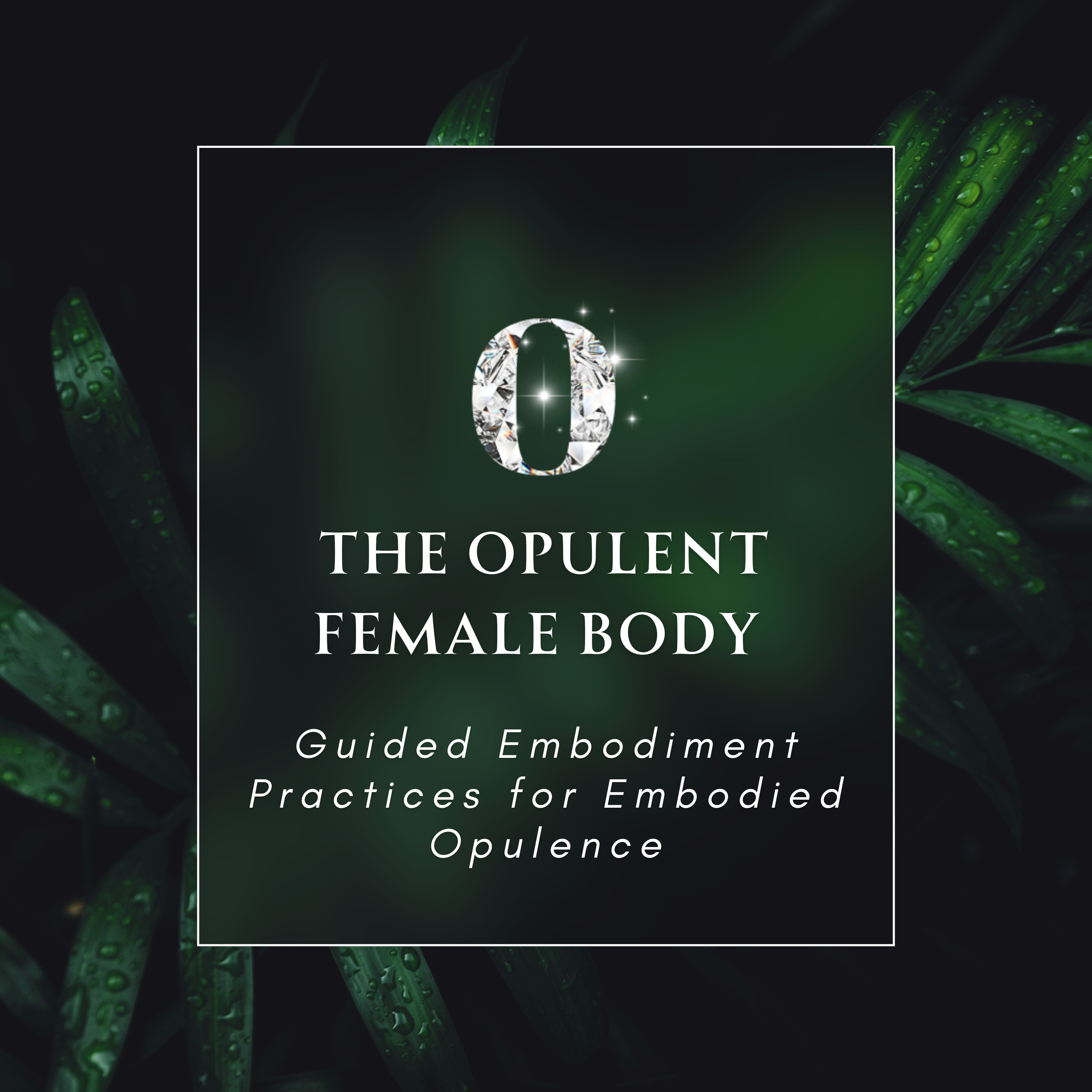 The Opulent Female Body