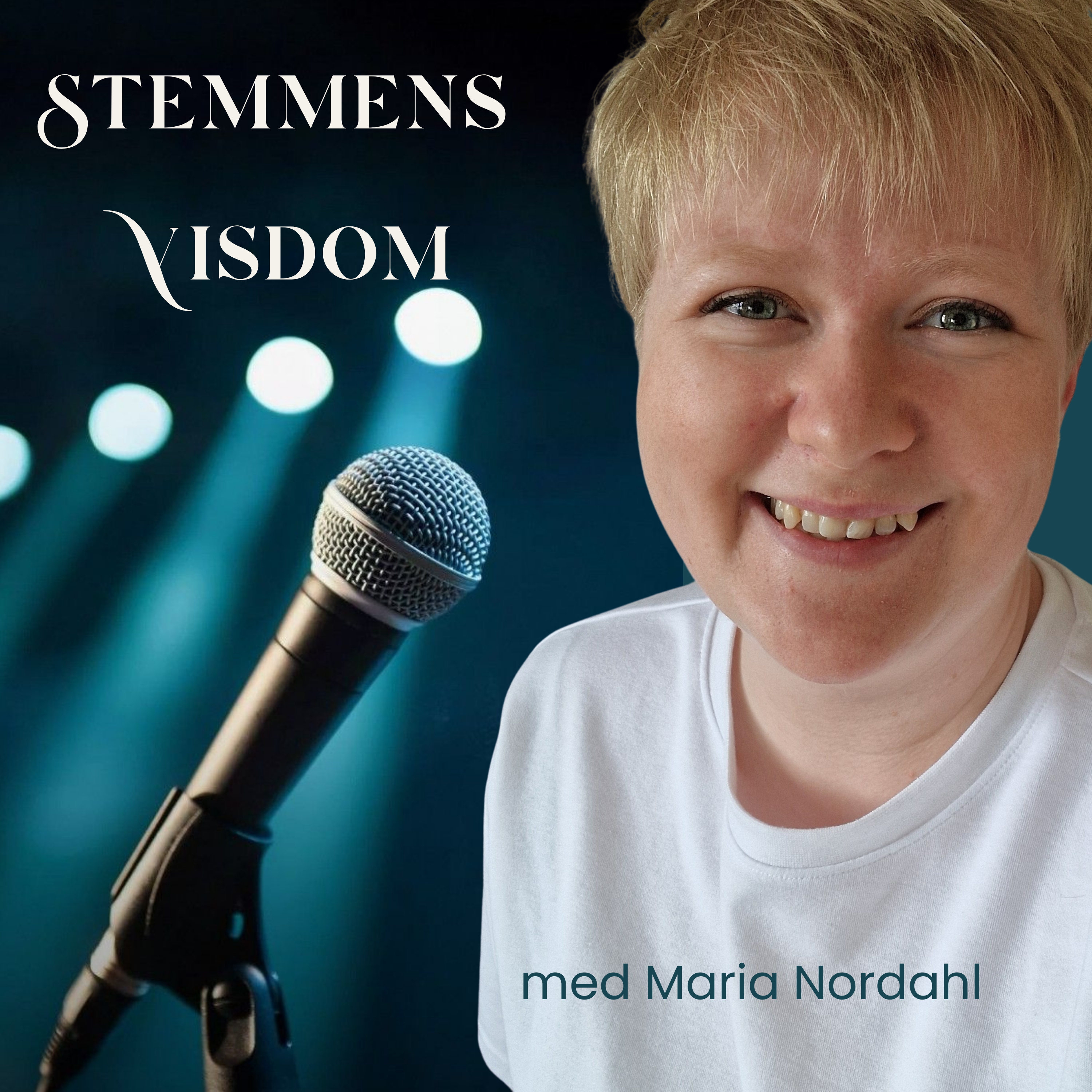 Stemmens Visdom cover art