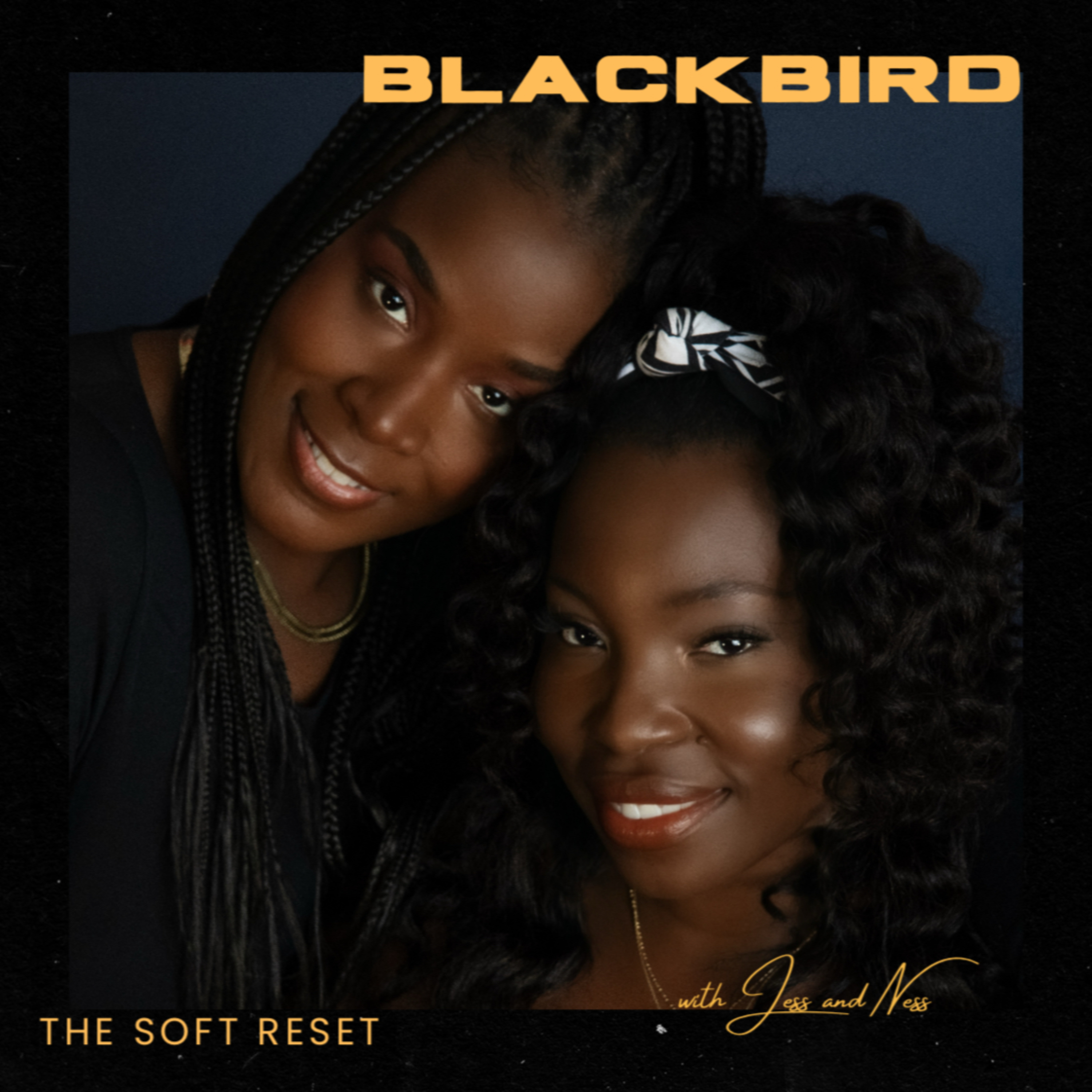 Blackbird: The Soft Reset