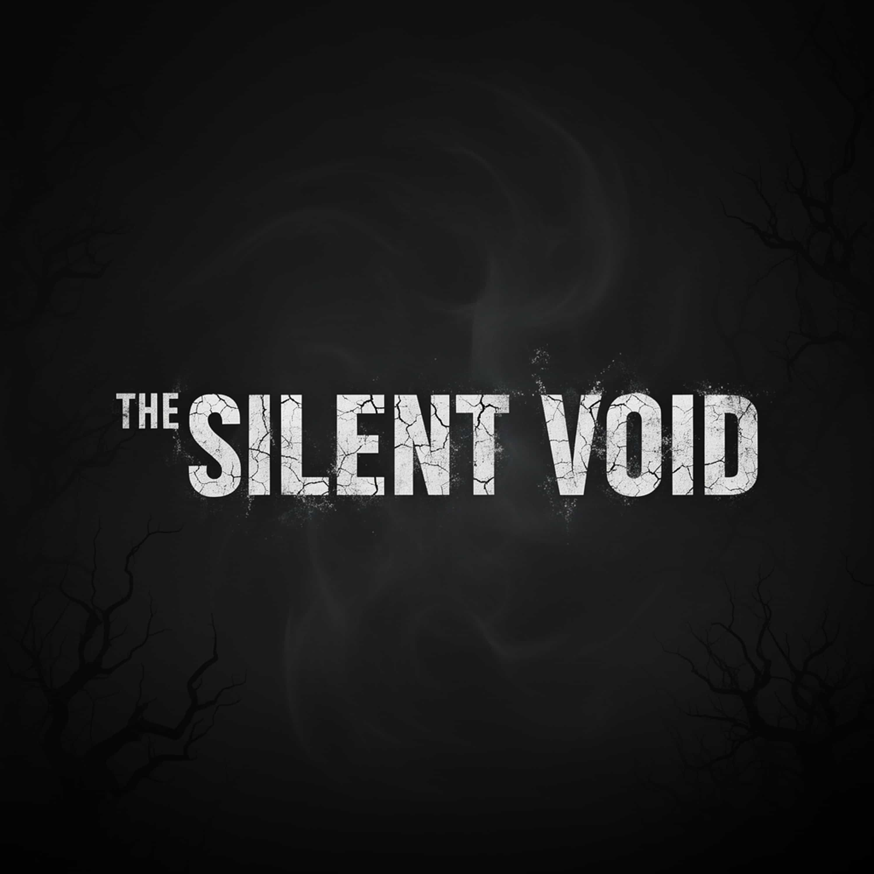 The Silent Void cover art