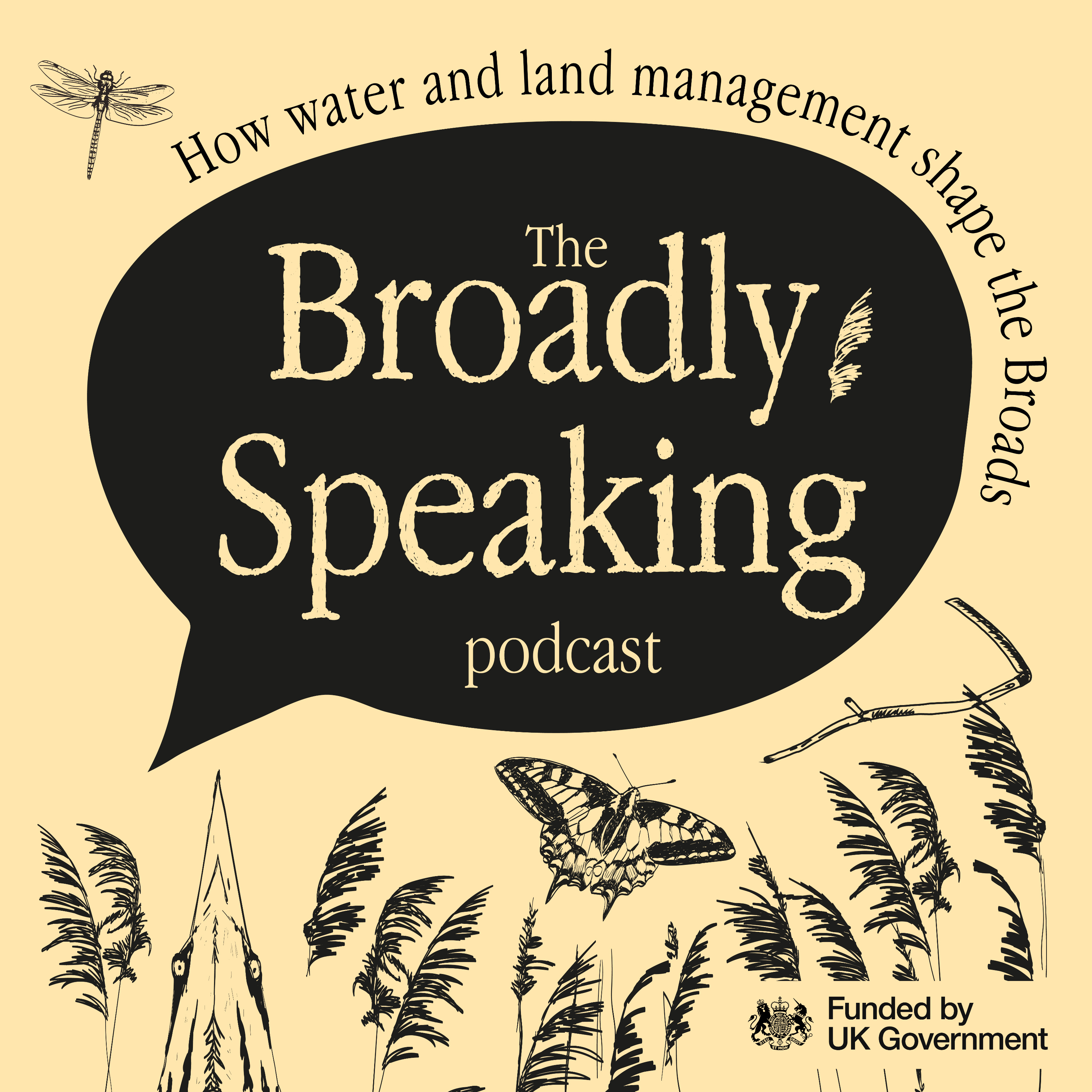 Broadly Speaking podcast artwork