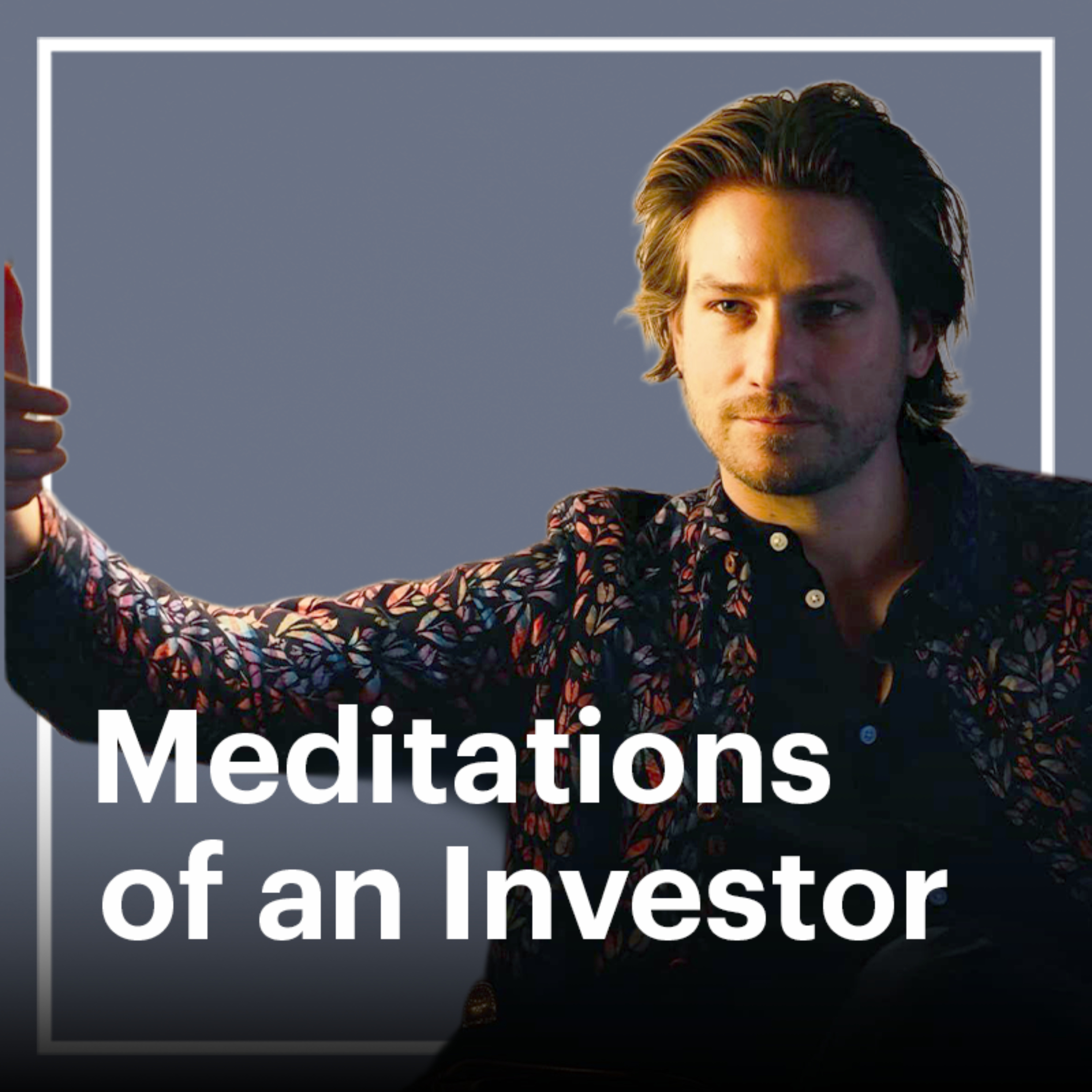 Meditations of an Investor