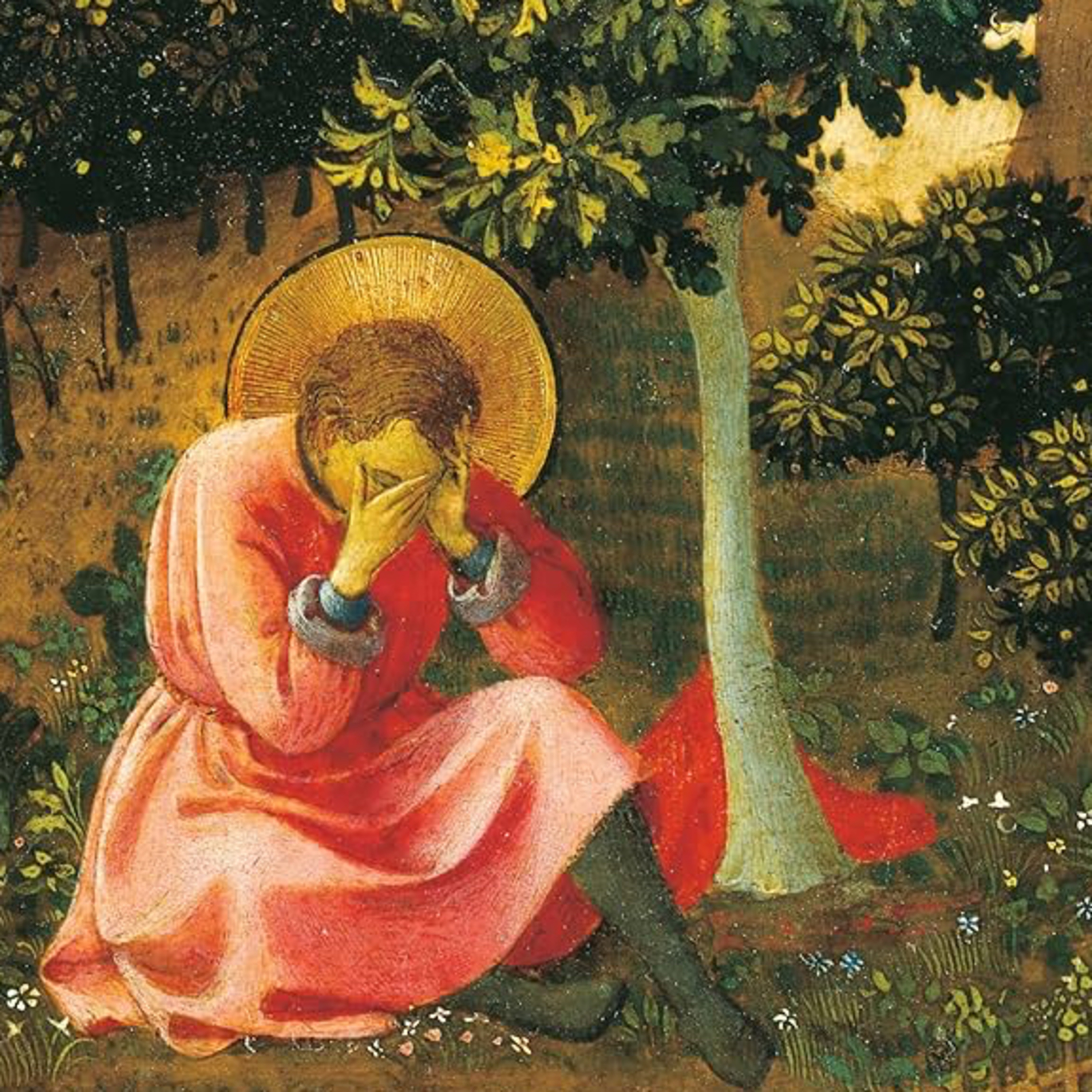 The Catholic Novice