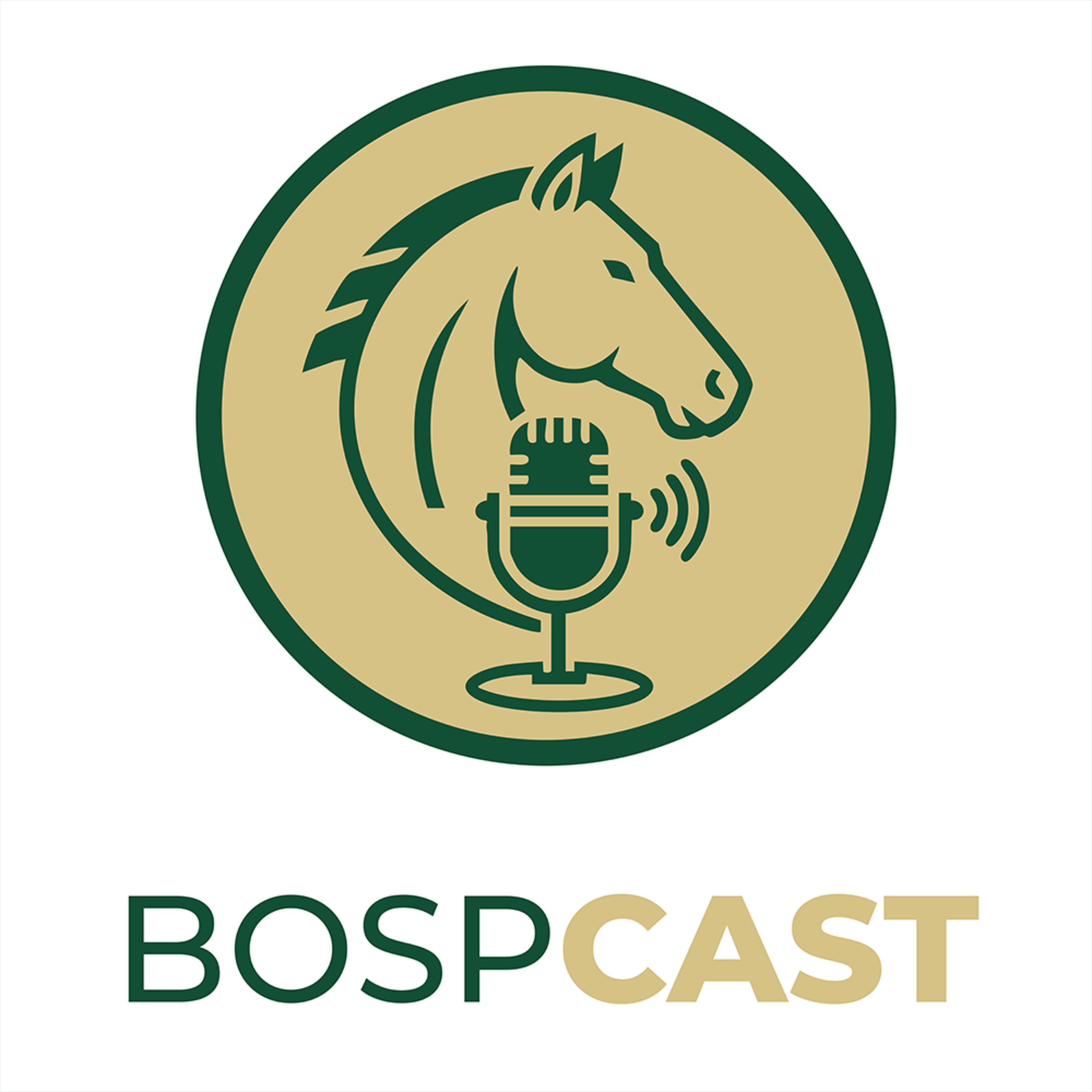 BospCast podcast artwork