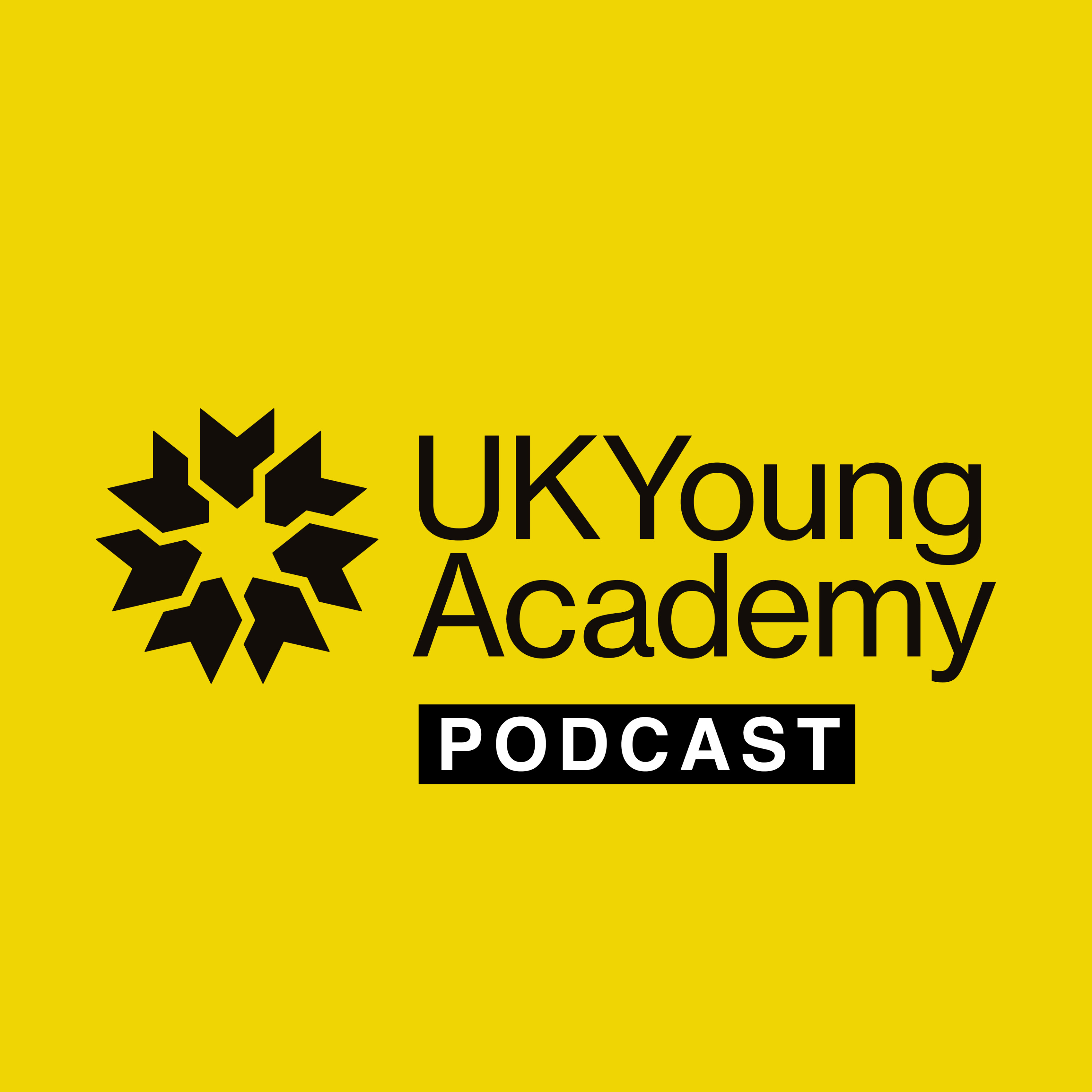 UK Young Academy podcast cover art