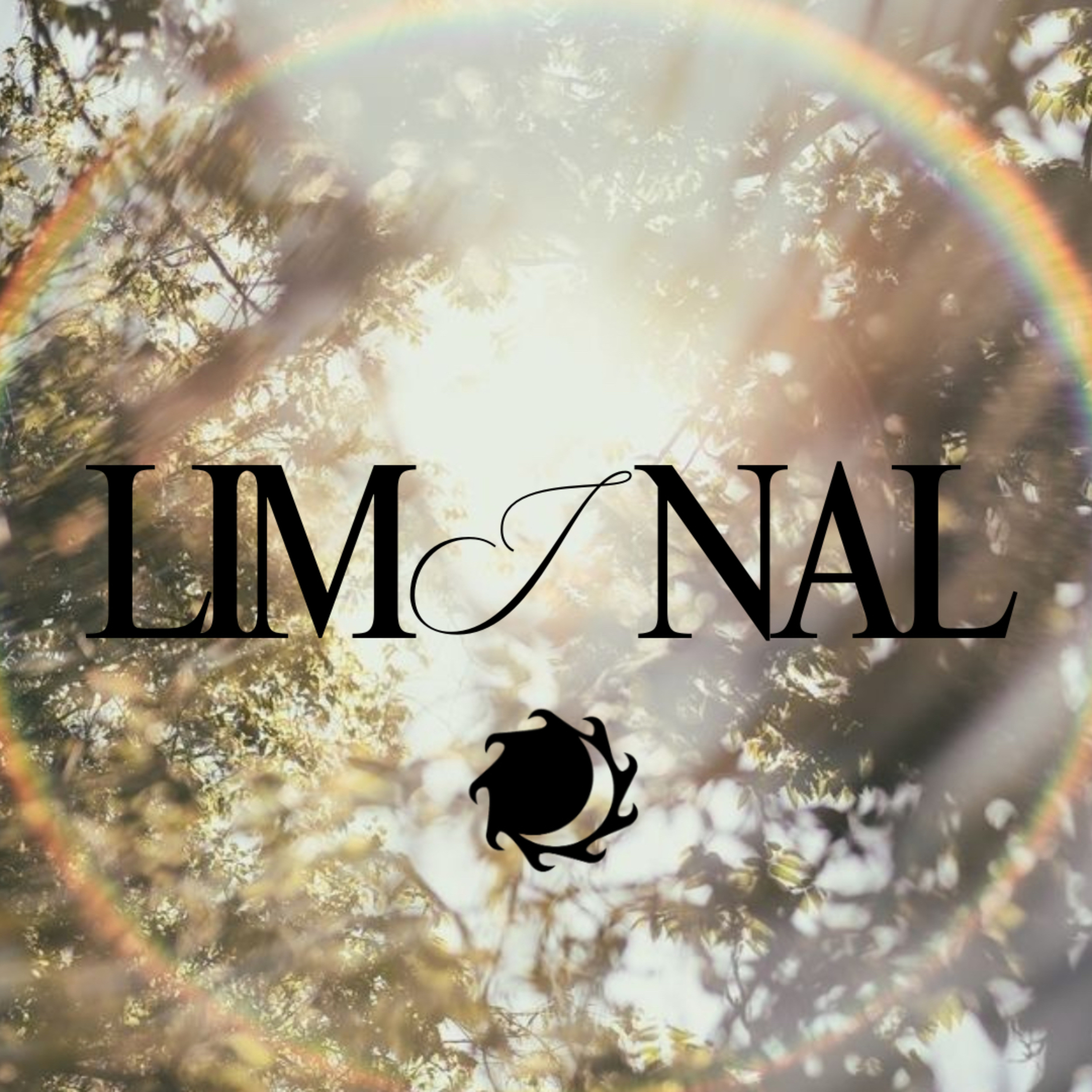 The Liminal Podcast cover art