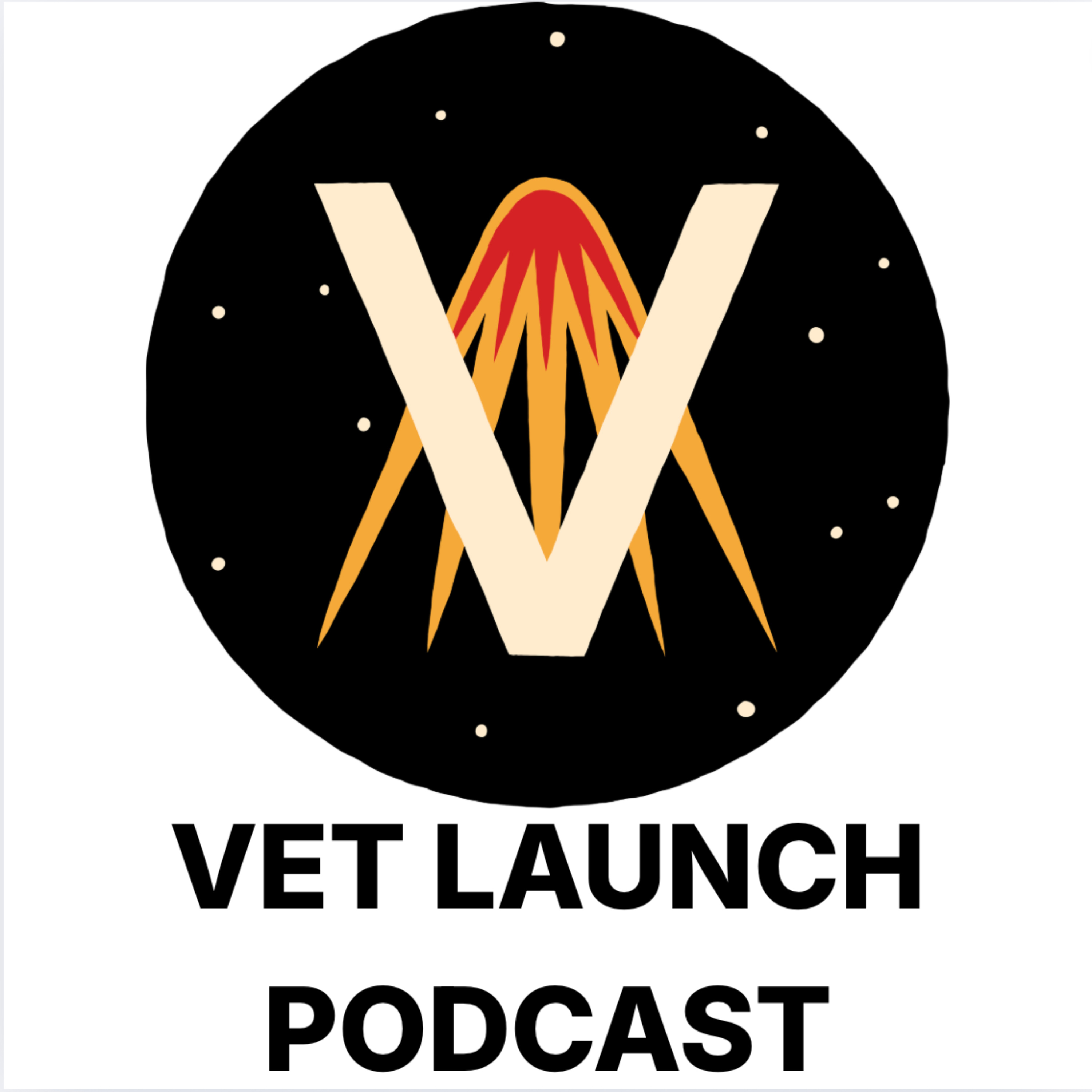 Vet Launch cover art