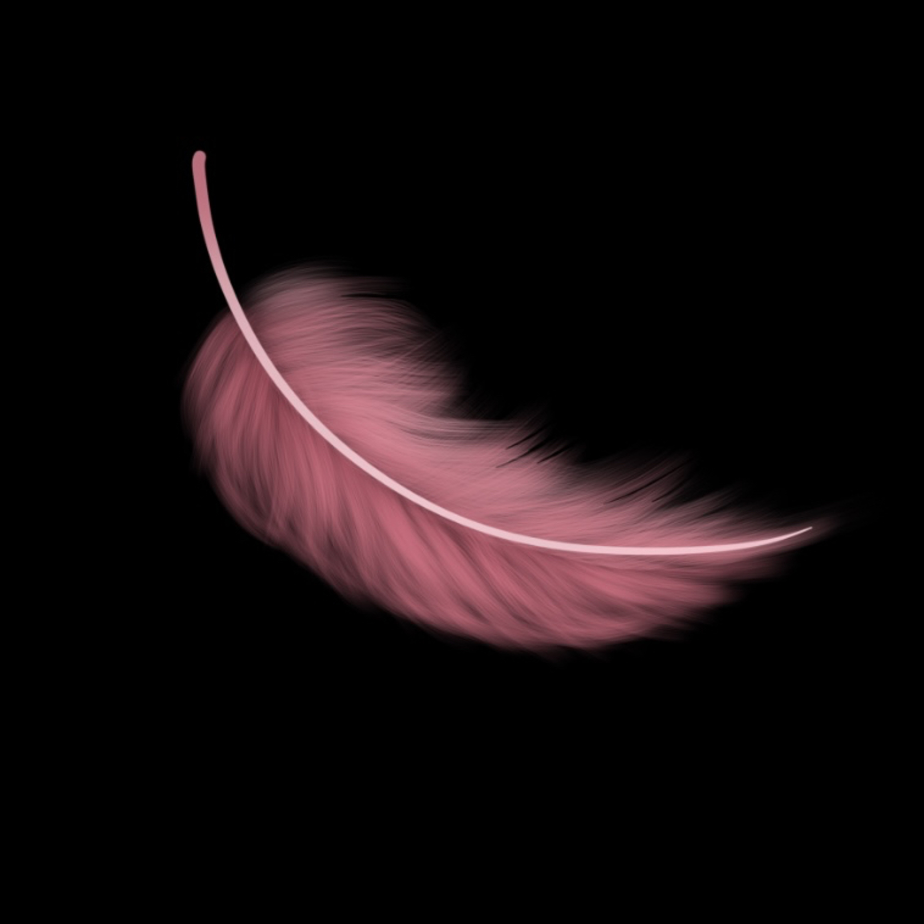 Whispers of Reality