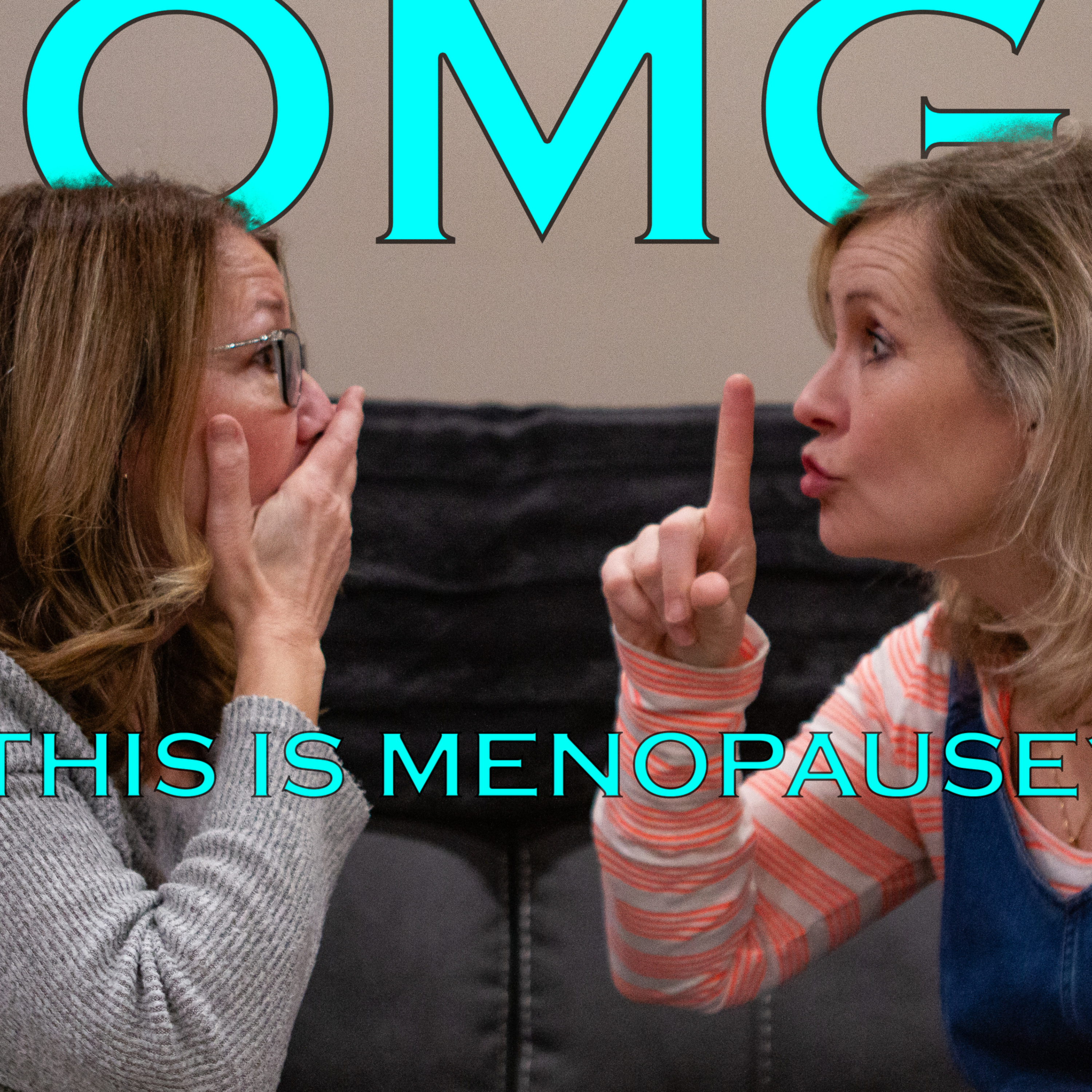 OMG THIS IS MENOPAUSE? Raised By The Silent Generation.