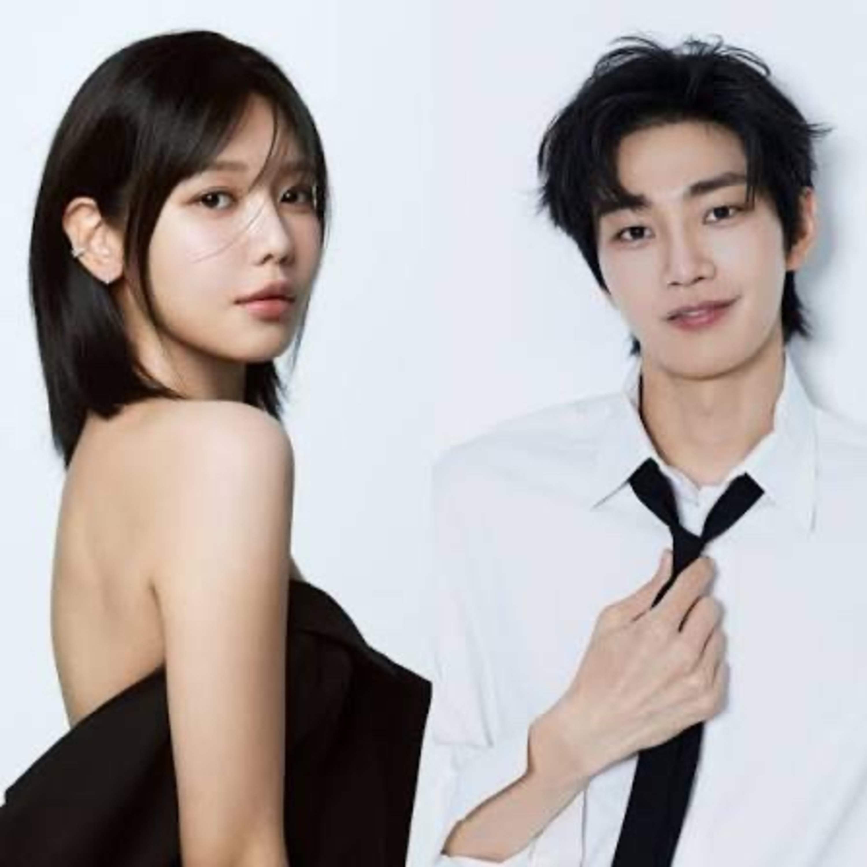 IDOL I ! Fan or cockroach? cover art