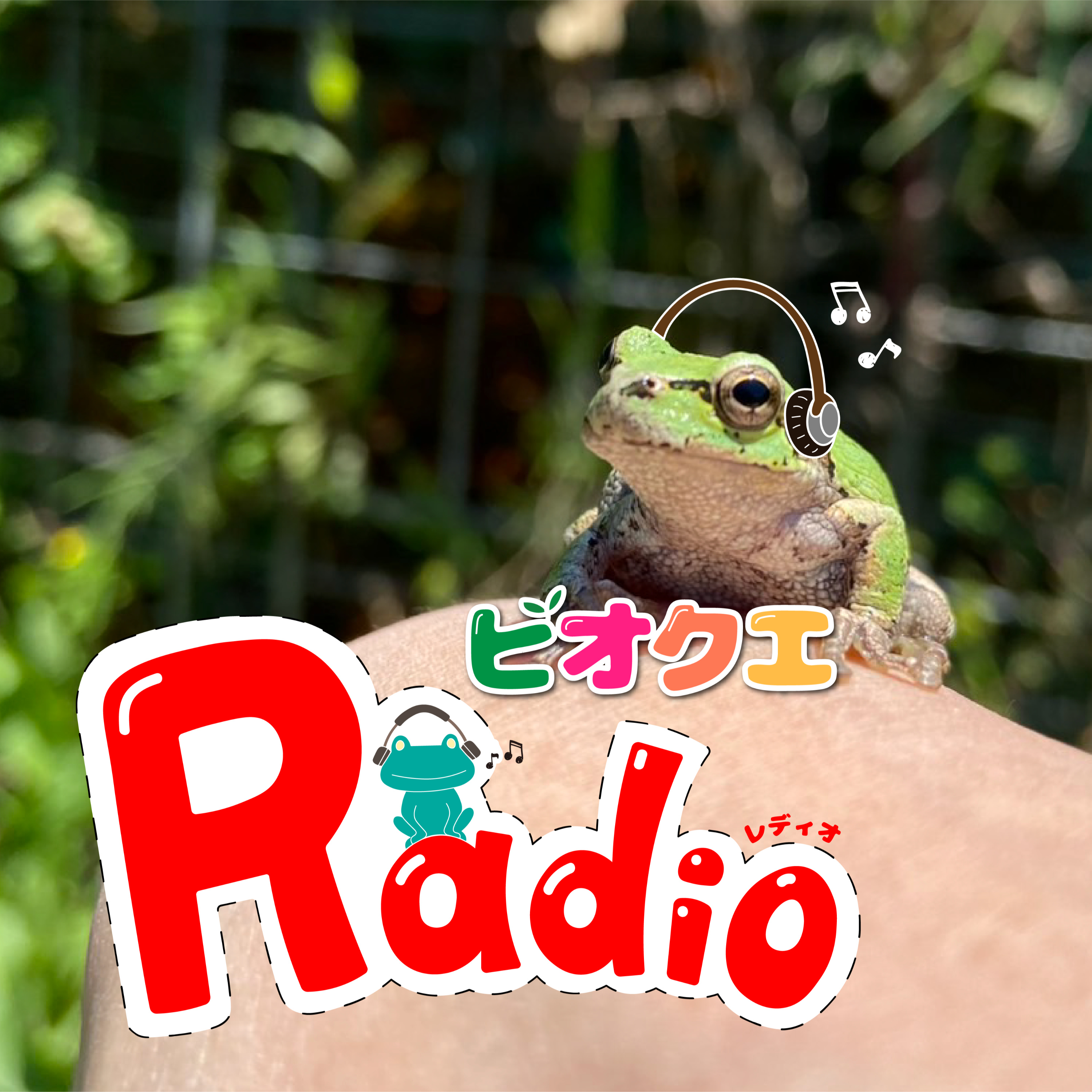いつでもどこでもいきもの！ビオクエRadio