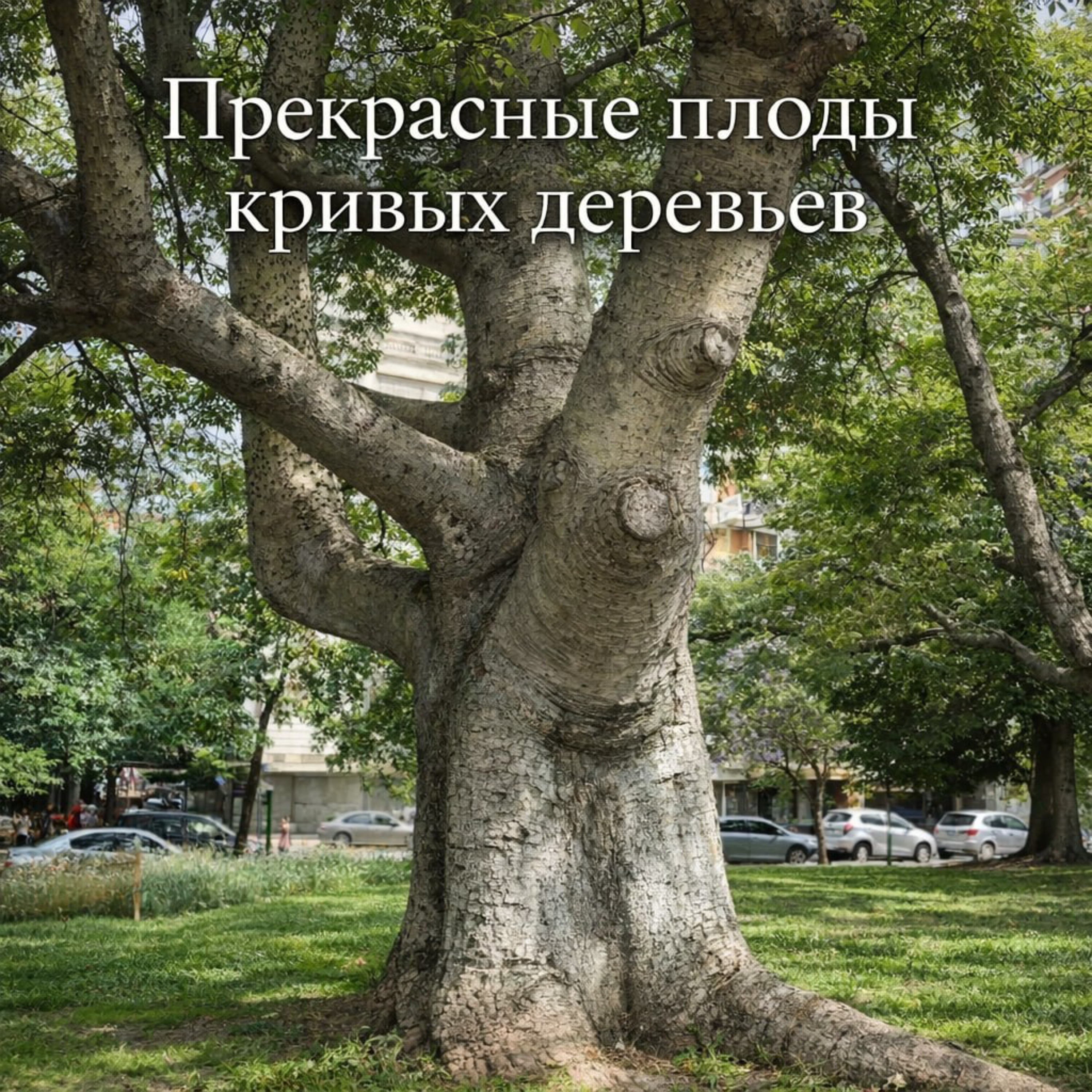 Прекрасные плоды кривых деревьев