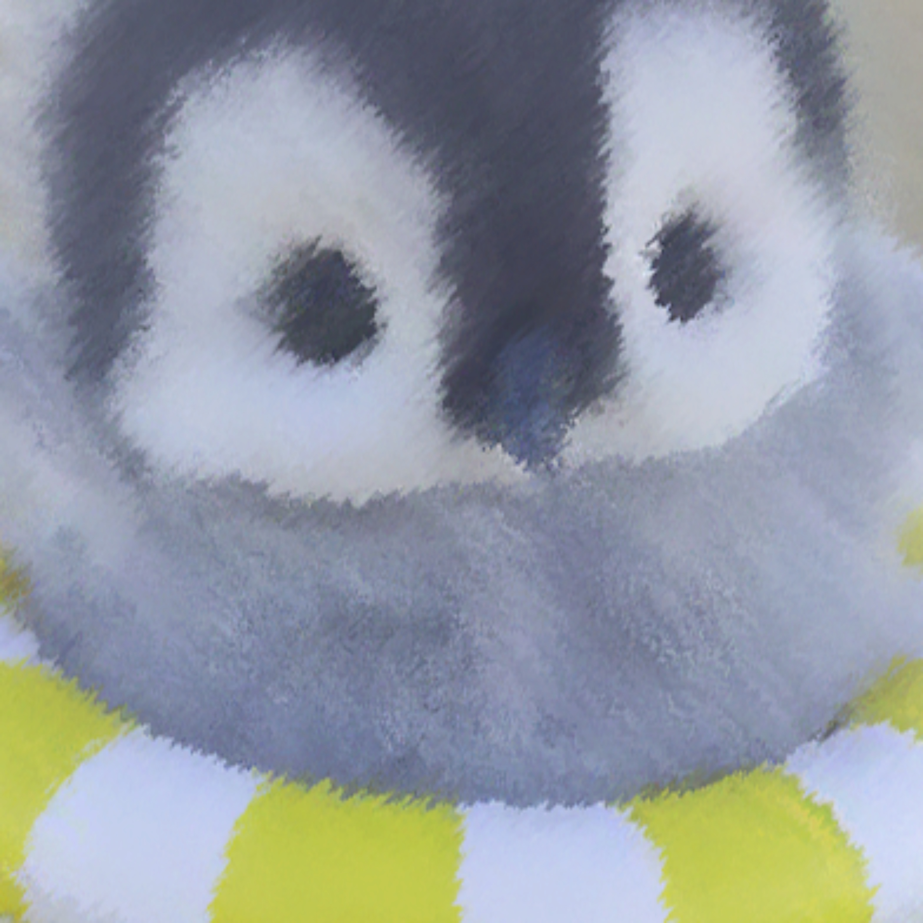 Animal Fun Information