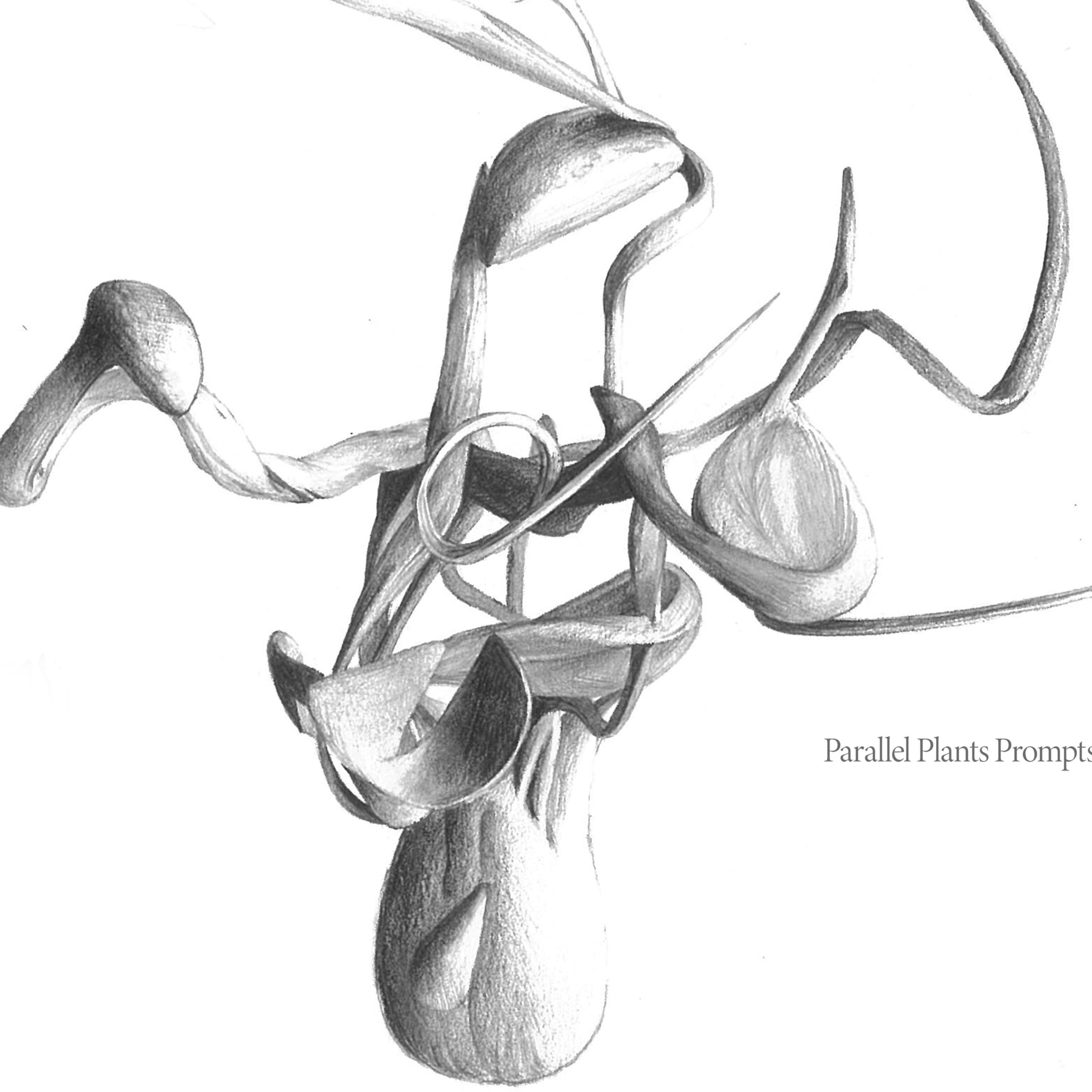 Parallel Plants Prompts cover art