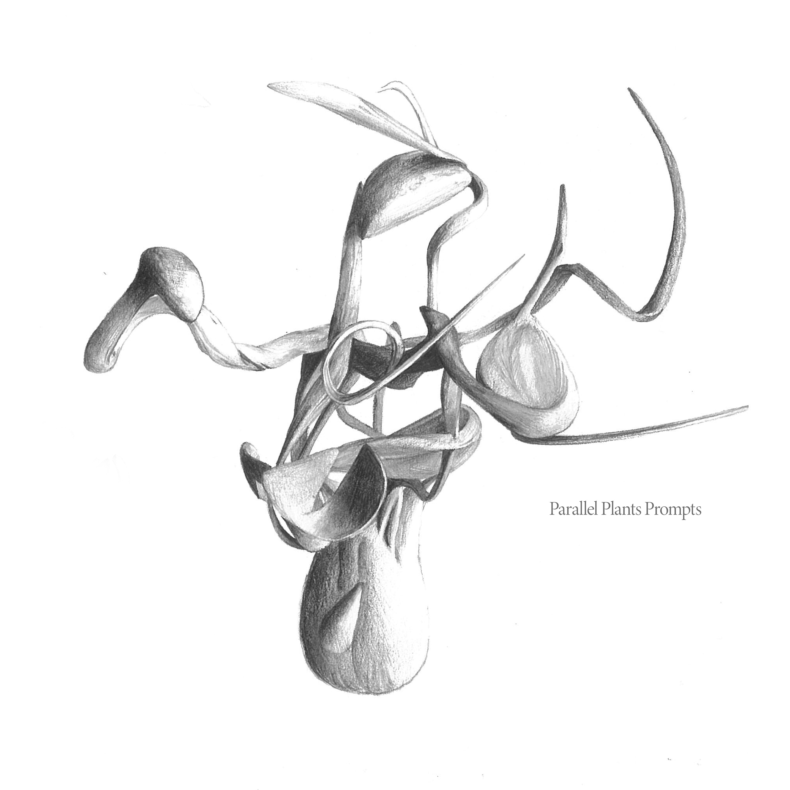 Parallel Plants Prompts