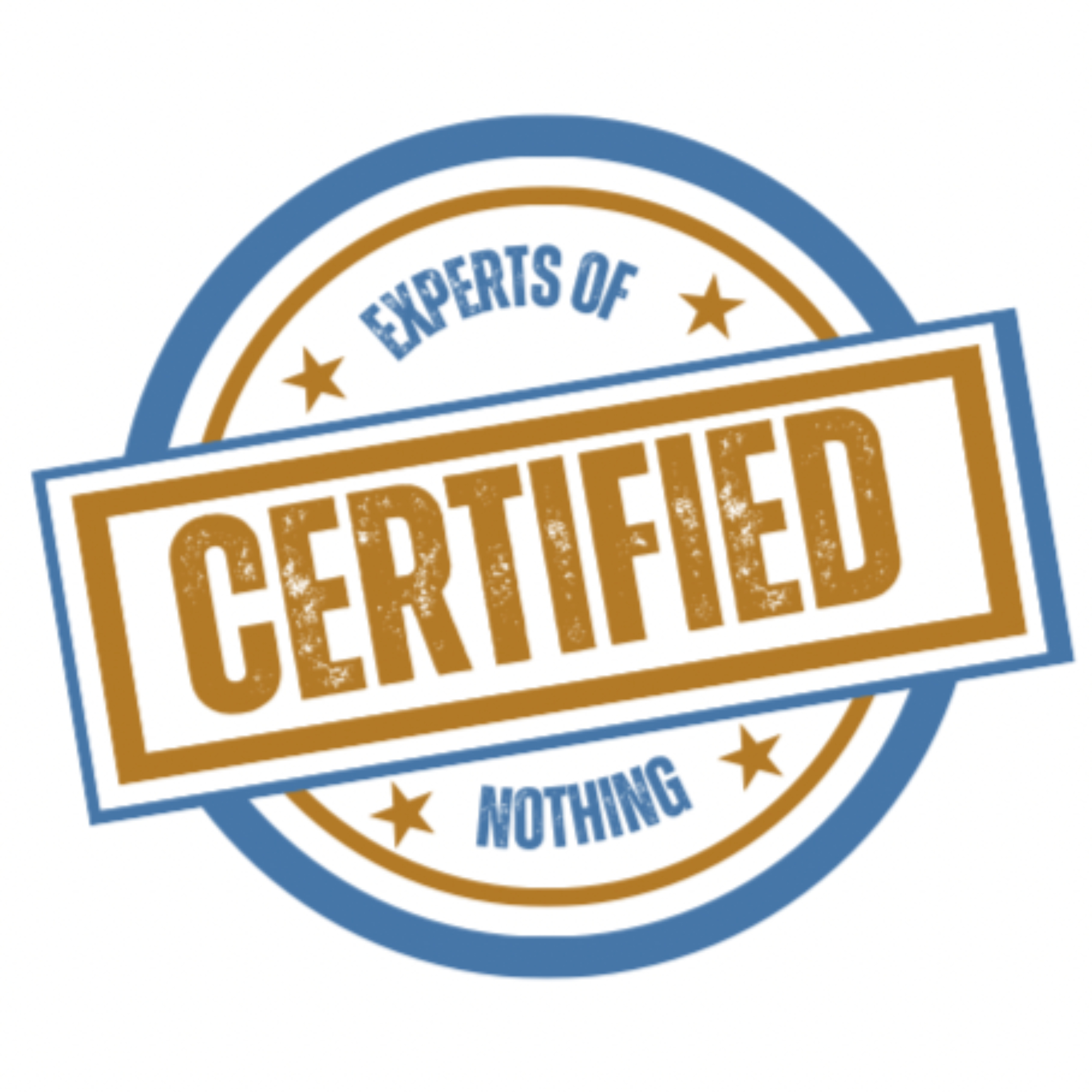 Certified Experts of Nothing cover art