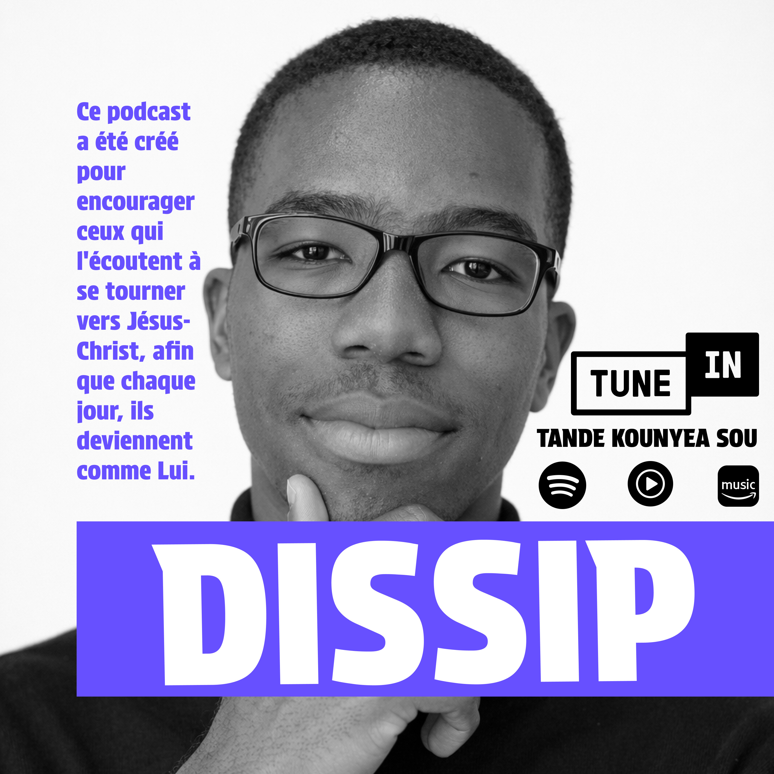 DISSIP cover art