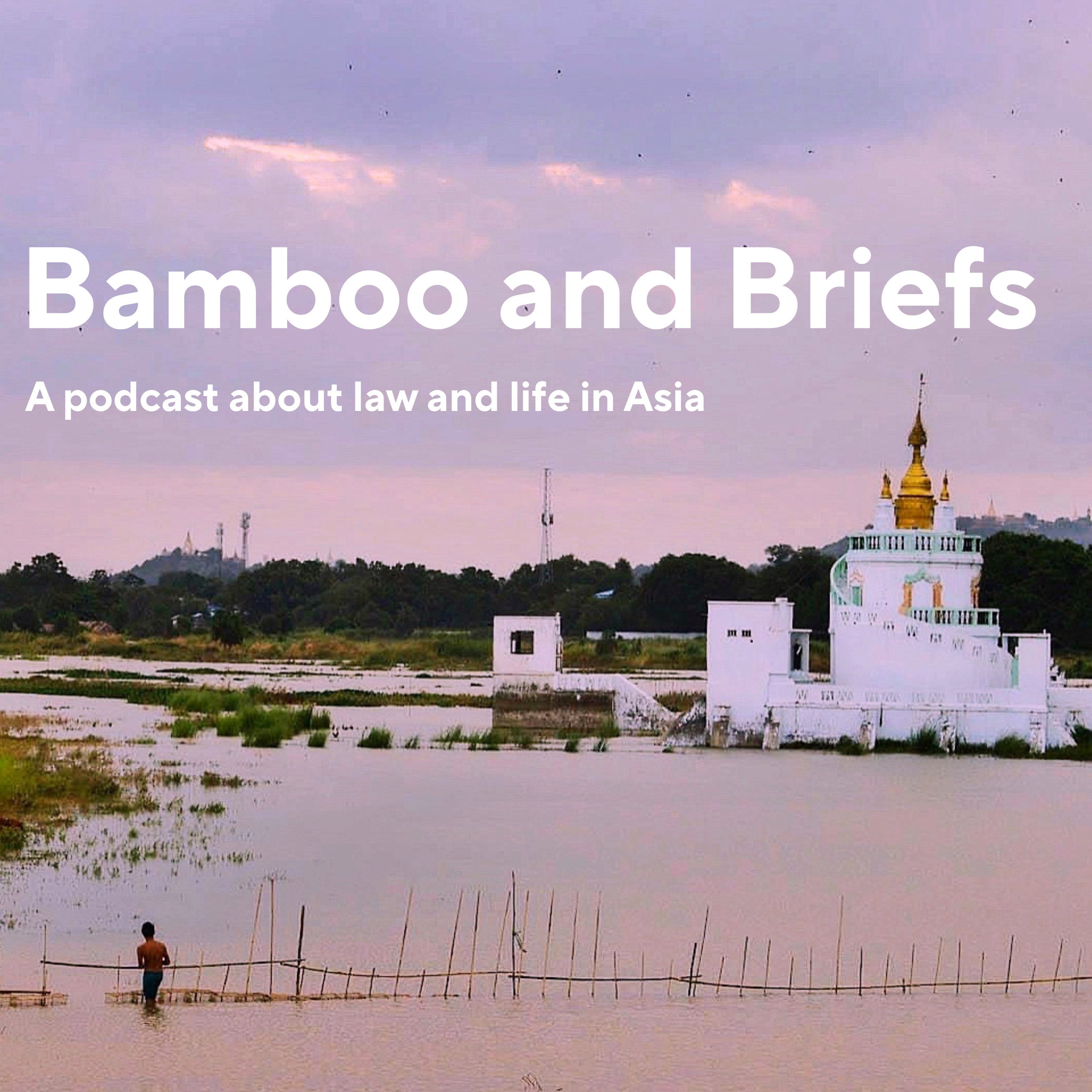 Bamboo and Briefs cover art