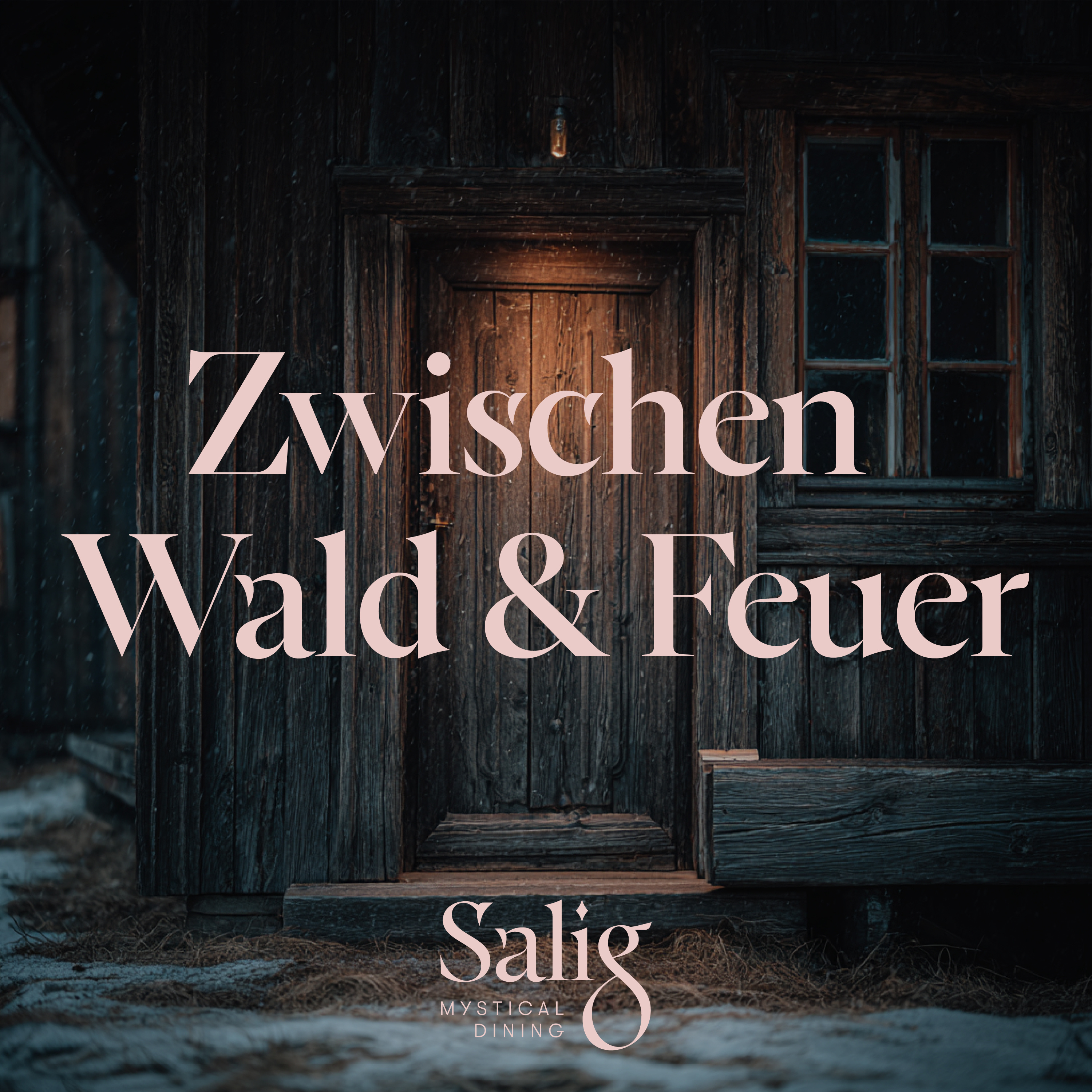 Zwischen Wald & Feuer