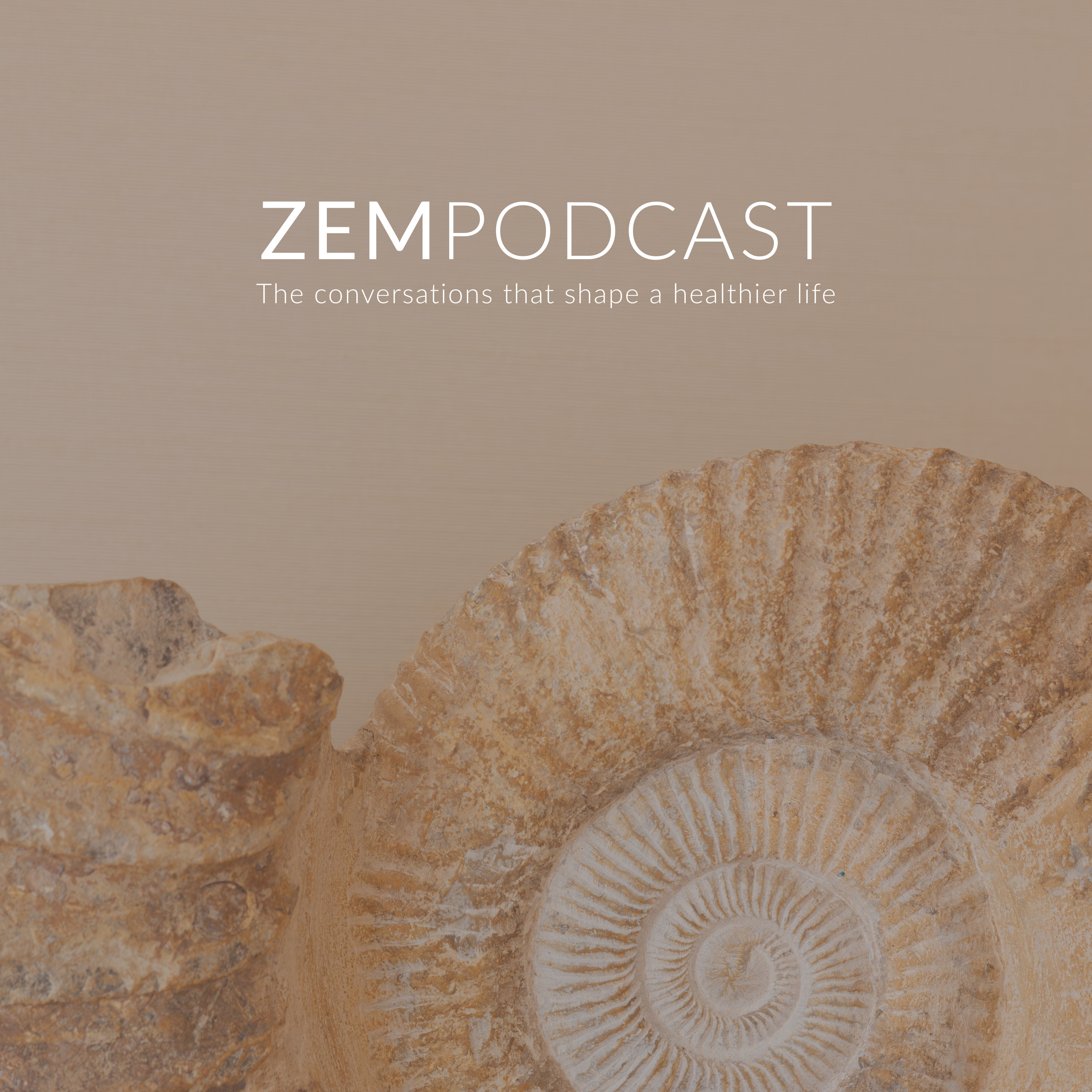 ZEM Podcast podcast artwork