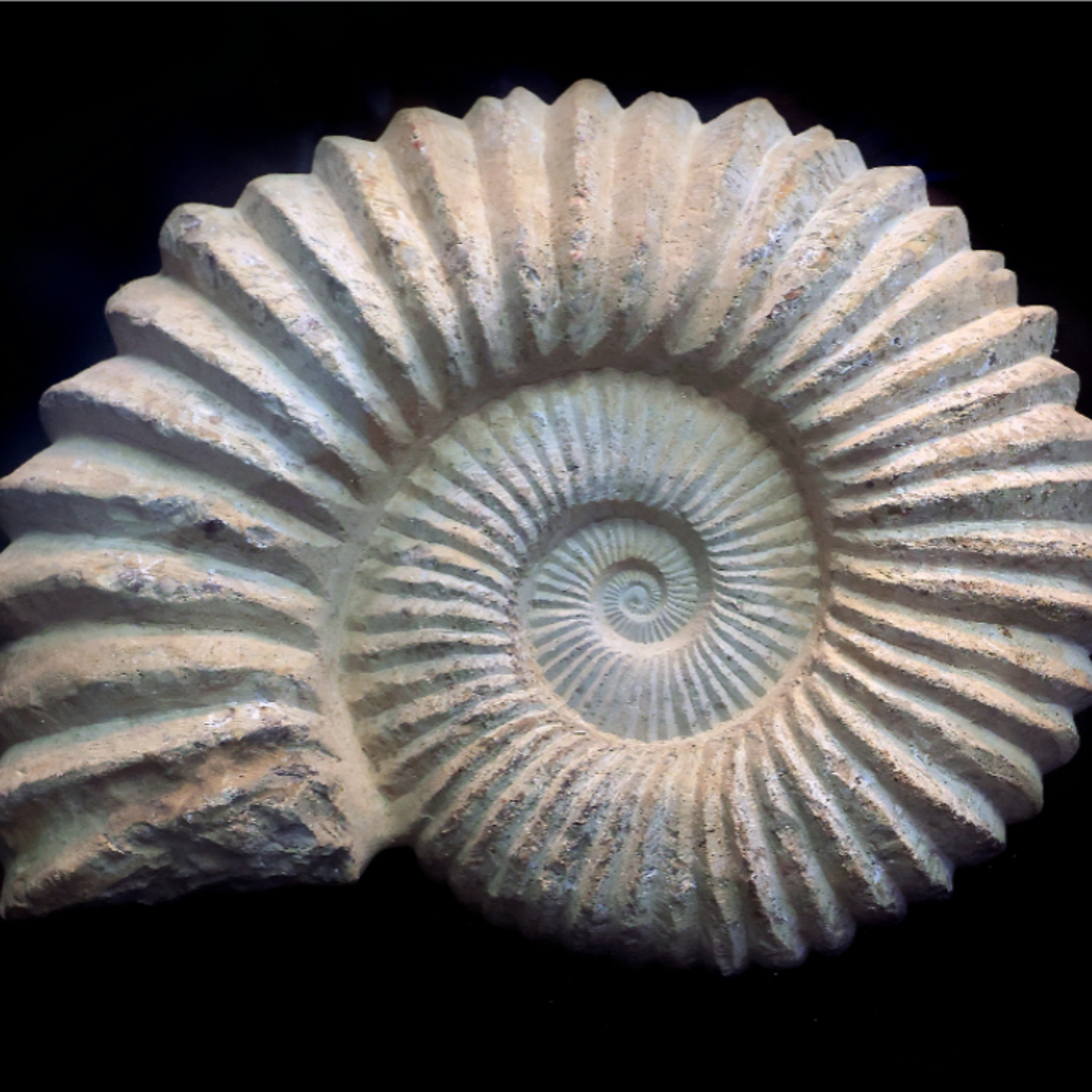 Pó de Cast - Cultura e Património cover art