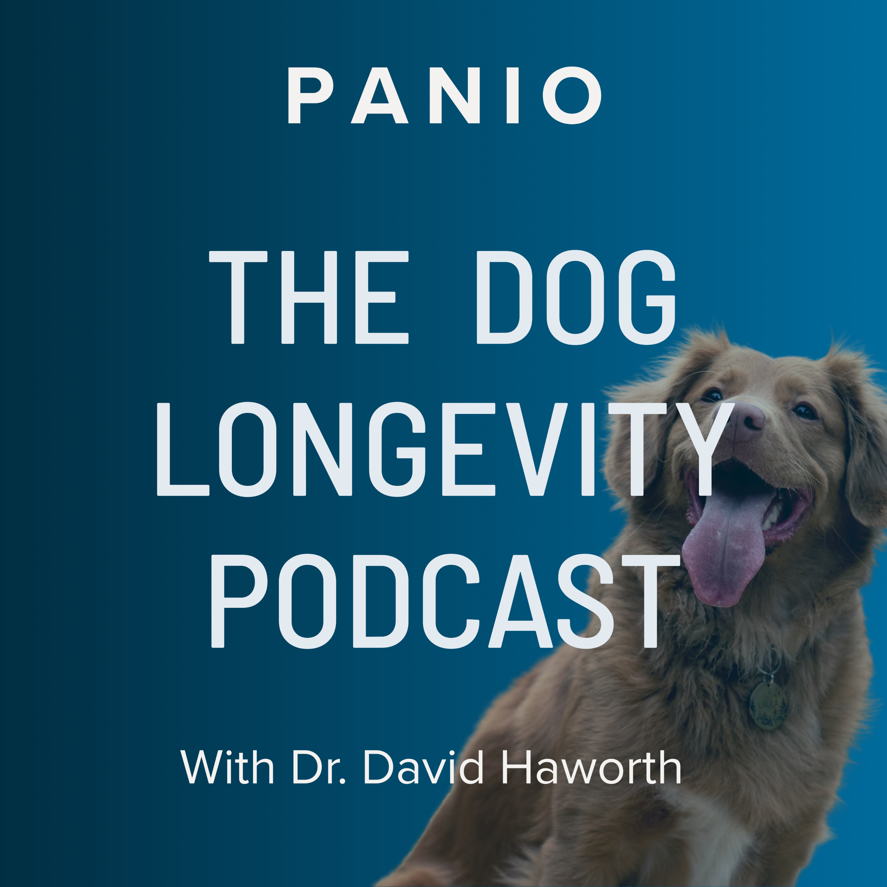 The Dog Longevity Podcast