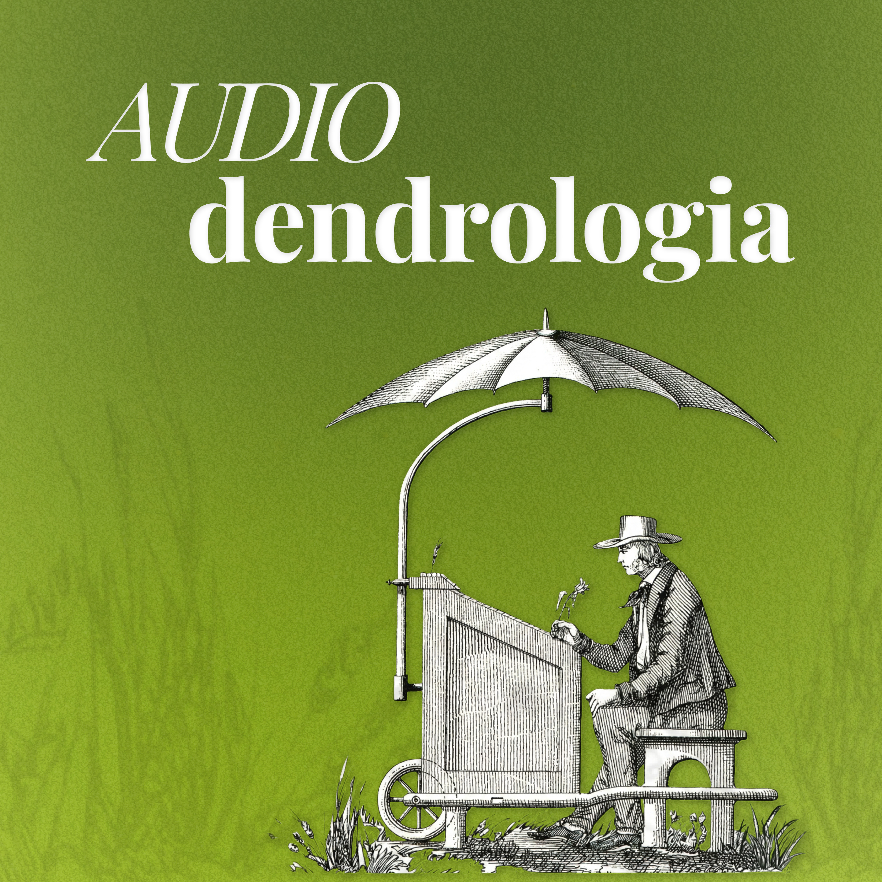 AUDIOdendrologia