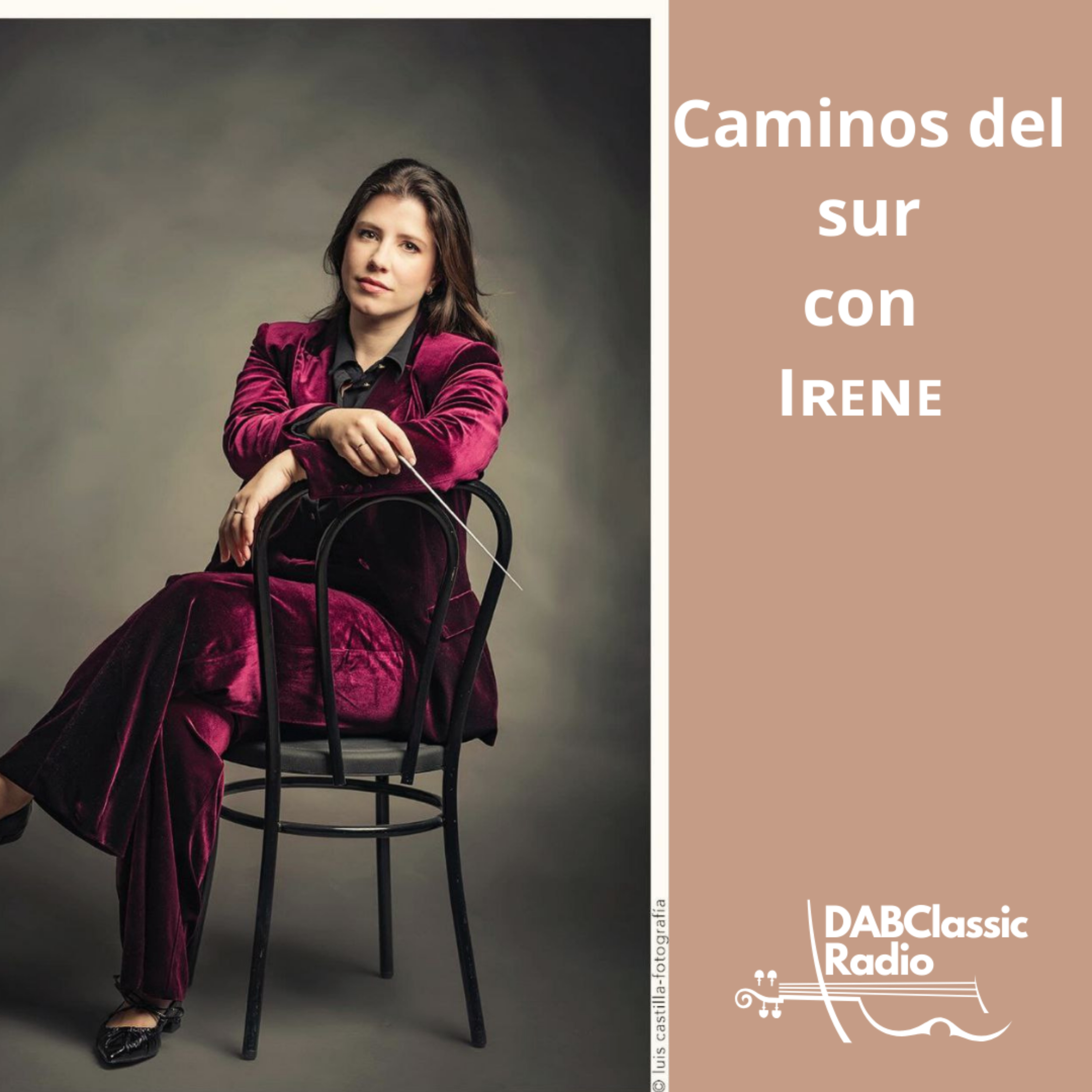 Caminos del sur con Irene cover art