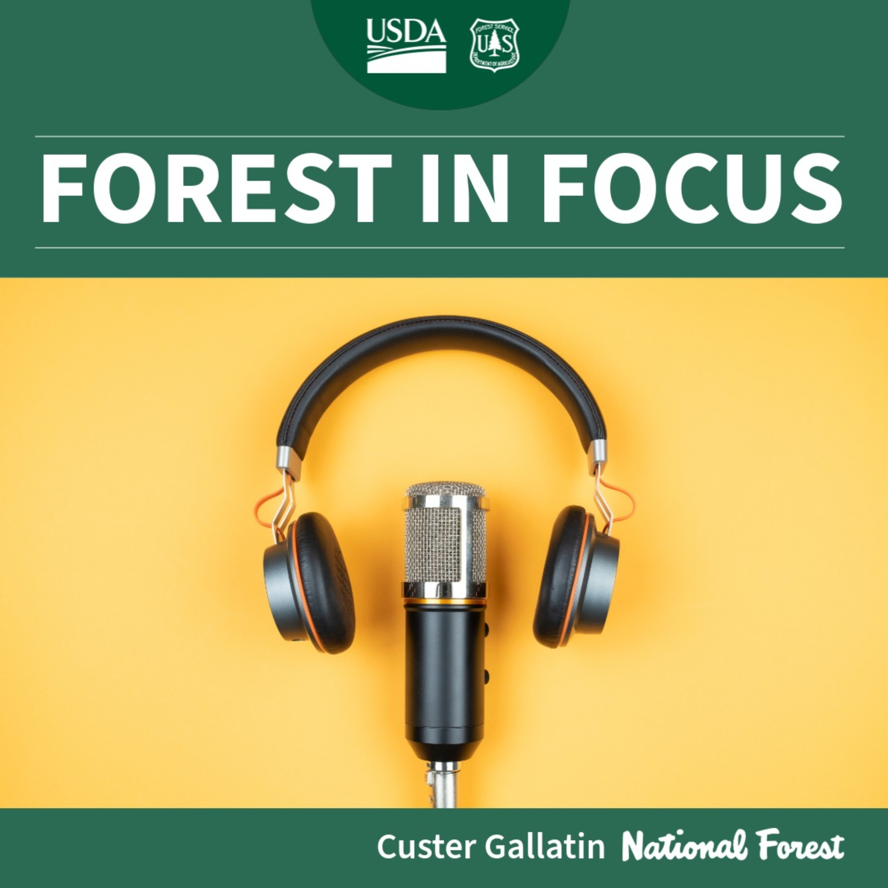 Forest in Focus Custer Gallatin National Forest