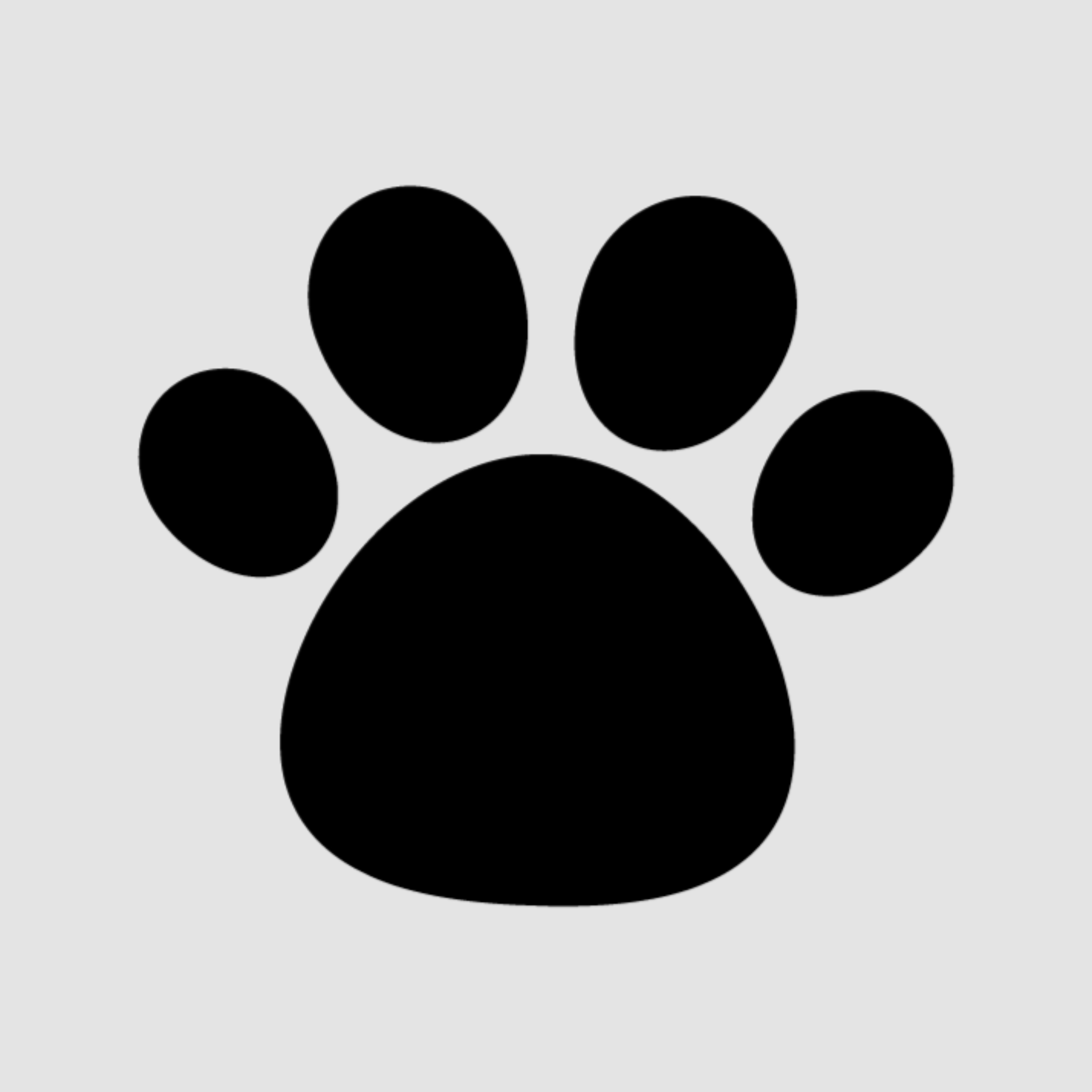 ビーチボールしようぜ!と言う話と未来戦略について ビーチボールしようぜ!と言う話と未来戦略について