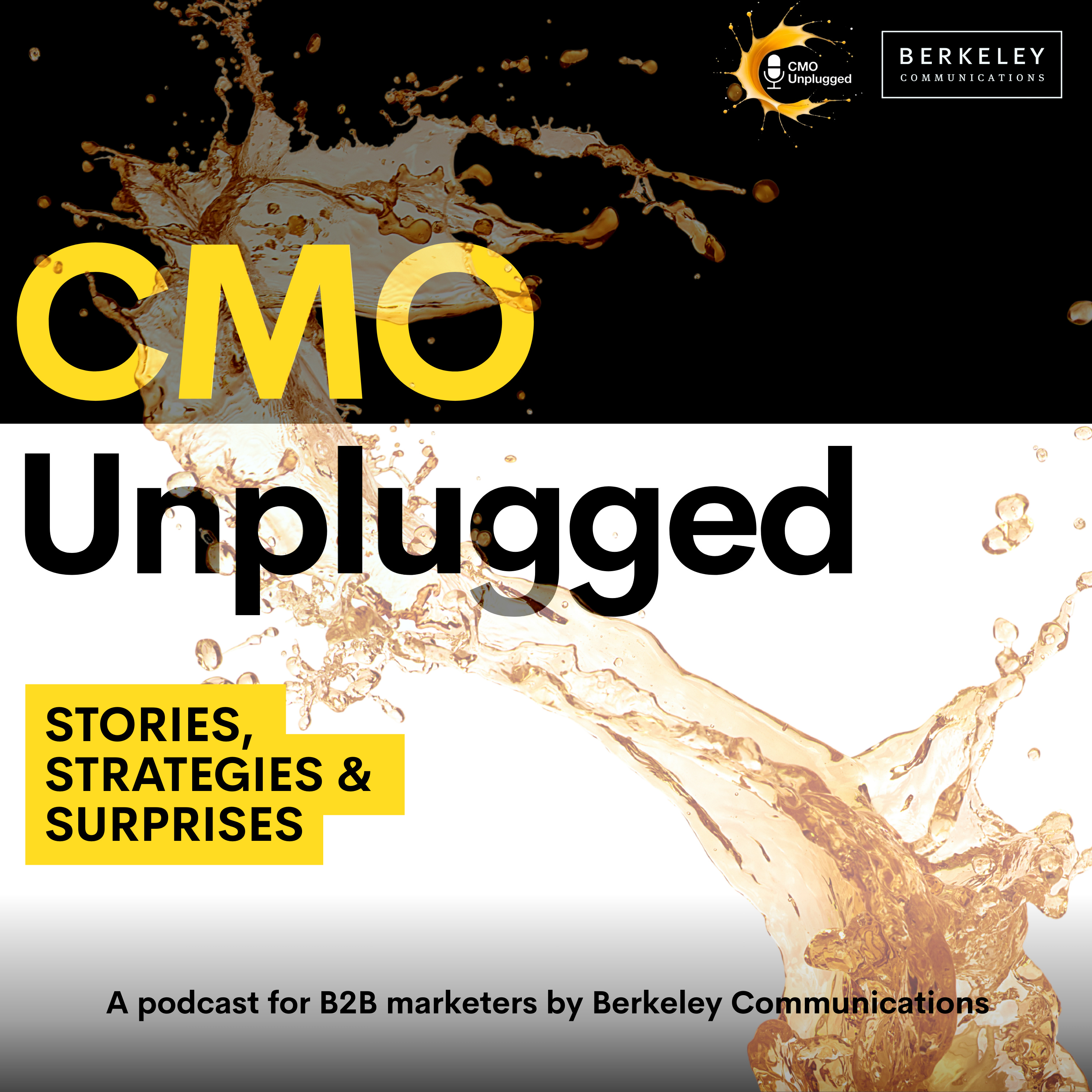 CMO Unplugged - Stories, Strategies and Surprises from the world of B2B Marketing