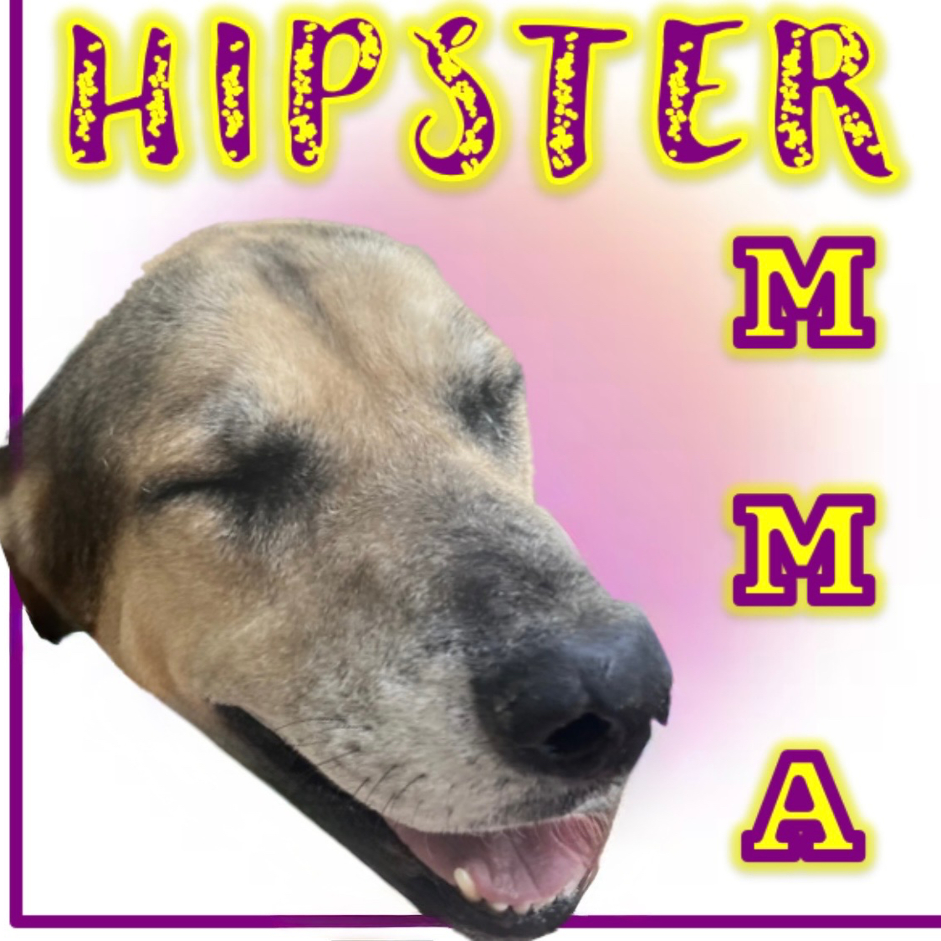 HipsterMMA