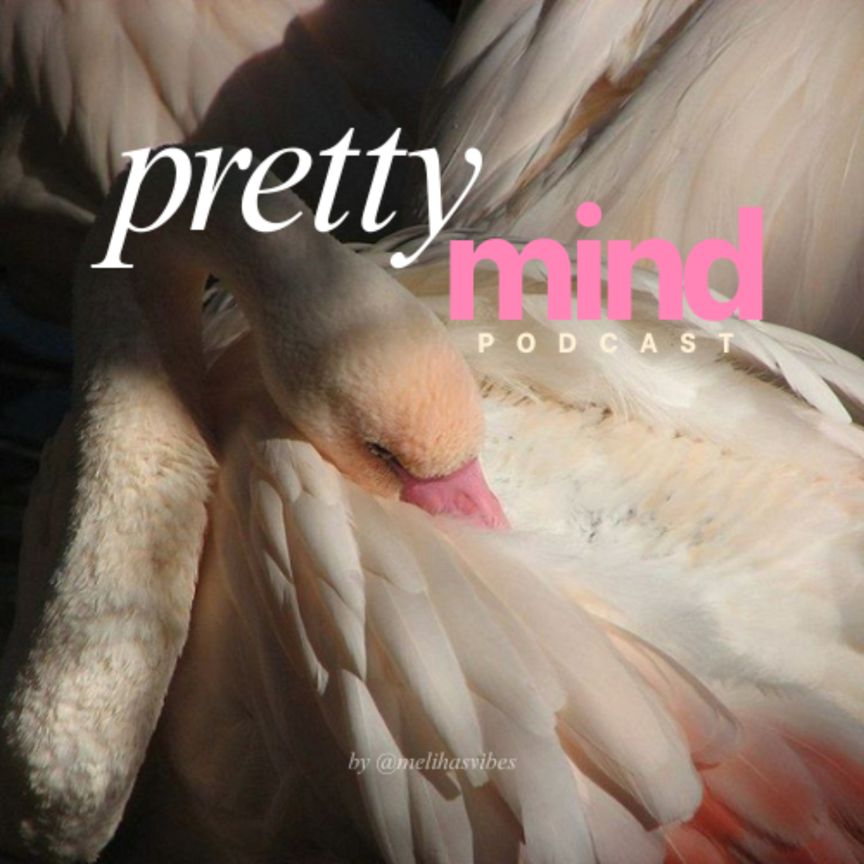 Pretty Mind Podcast podcast artwork