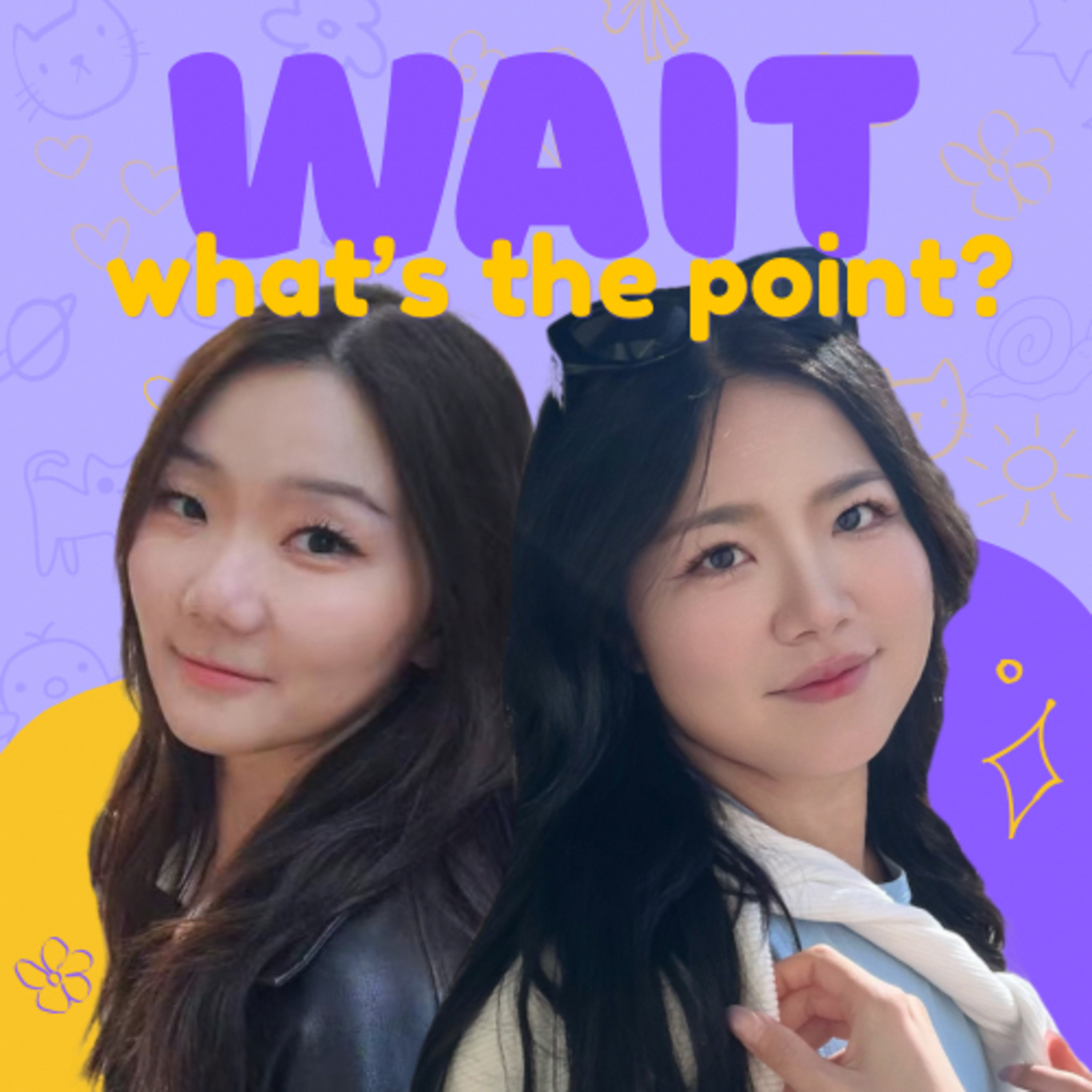 wait, what's the point? podcast artwork