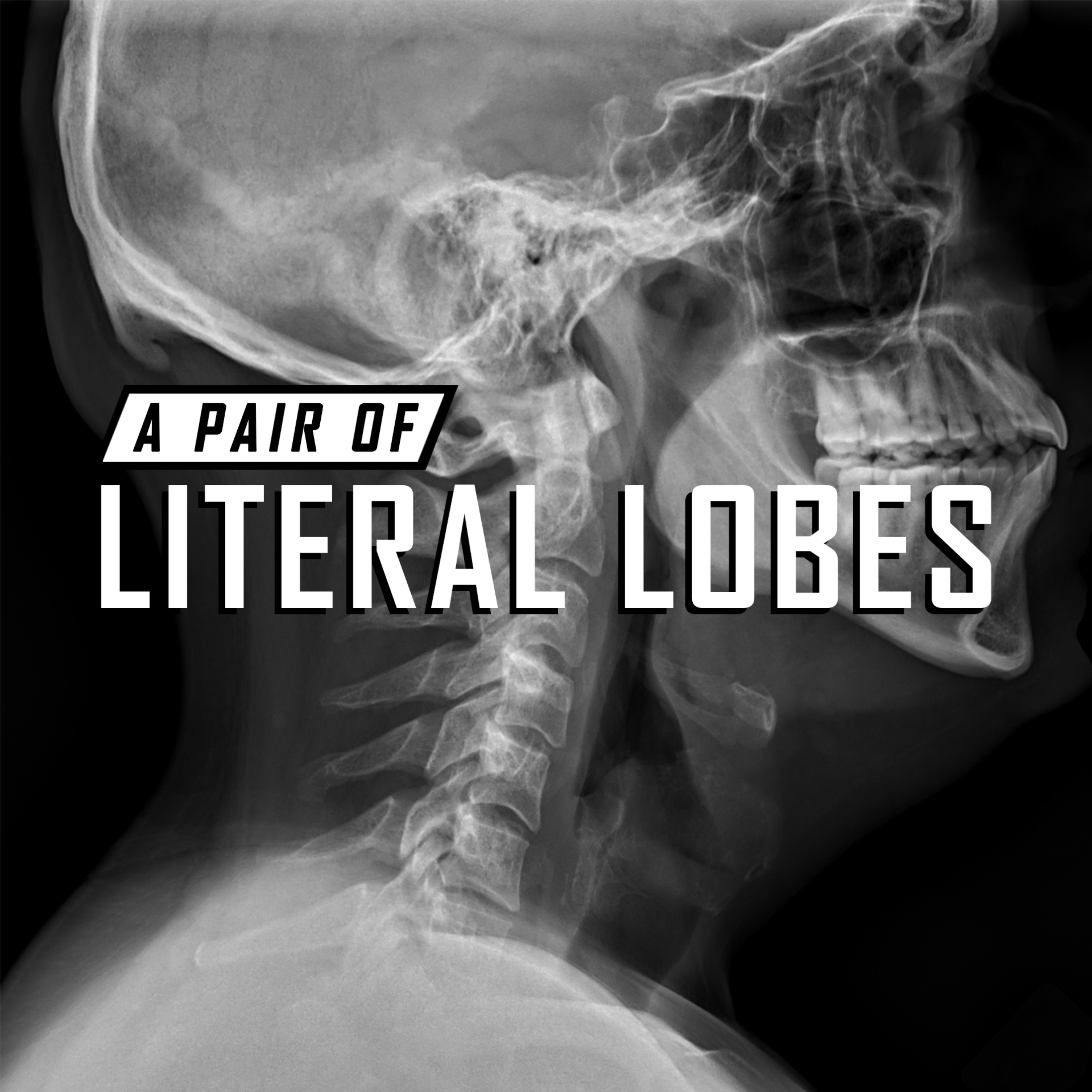 A Pair of Literal Lobes cover art