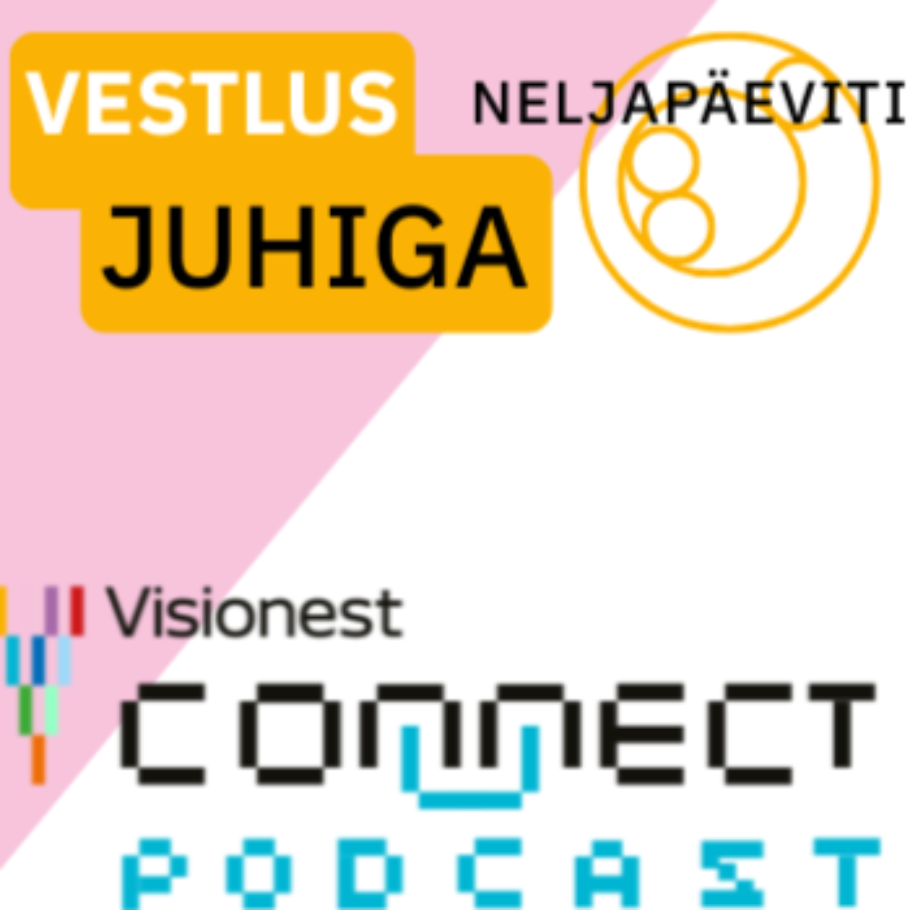 Visionest Connect ⟩ Eesti juhtide kogukond podcast artwork
