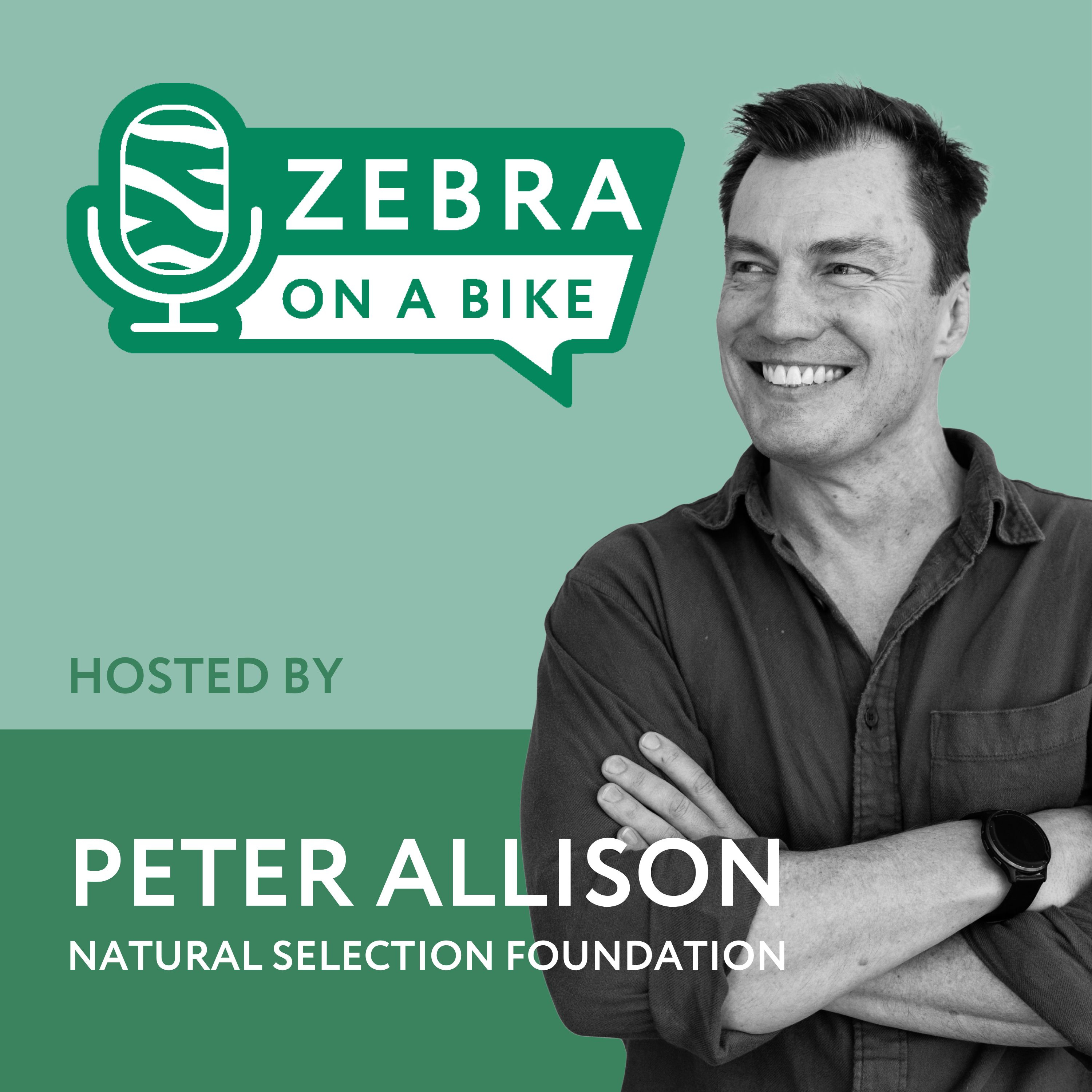 Logo of the podcast Zebra on a Bike Podcast Zebra on a Bike