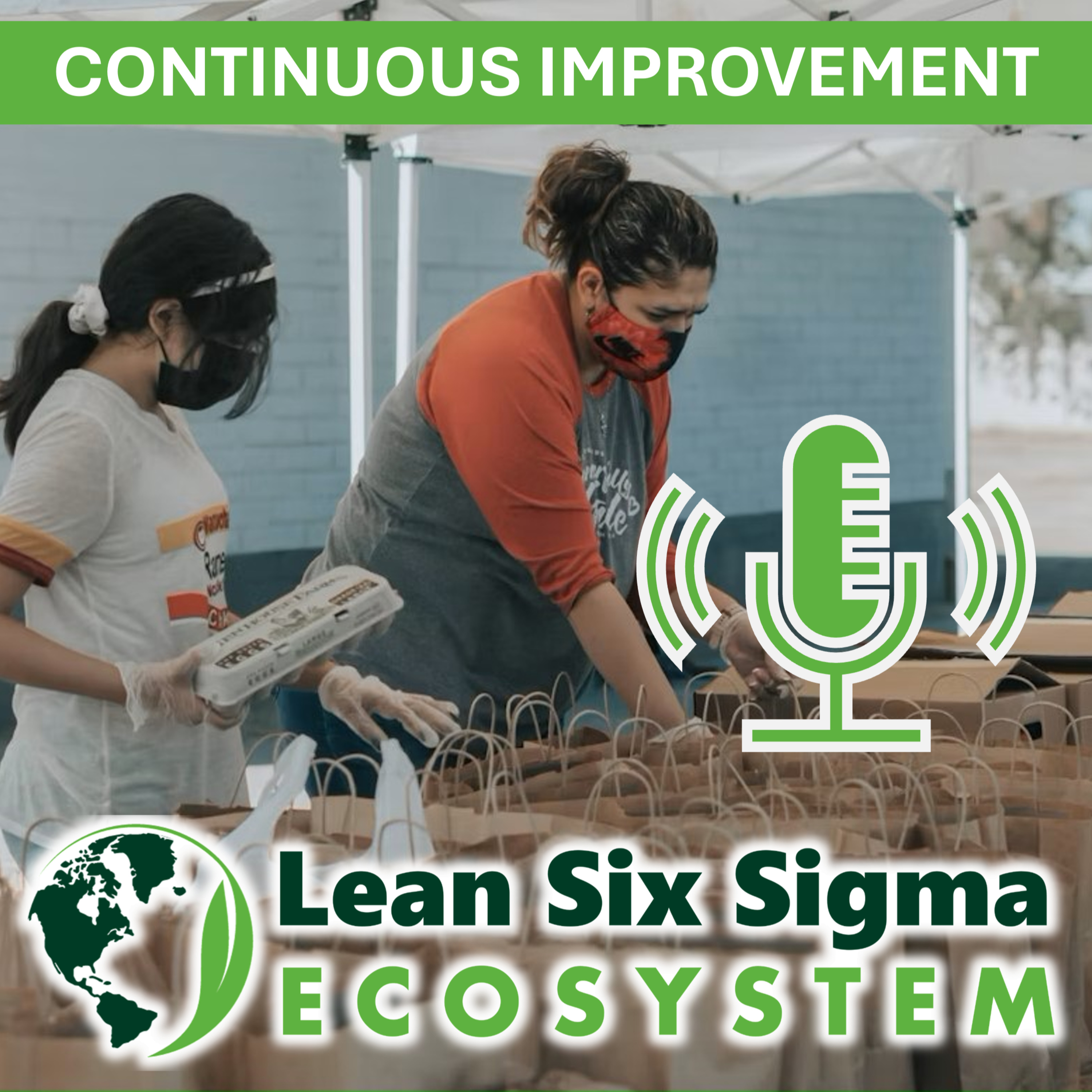 Lean Six Sigma Ecosystem: Continuous Improvement podcast artwork