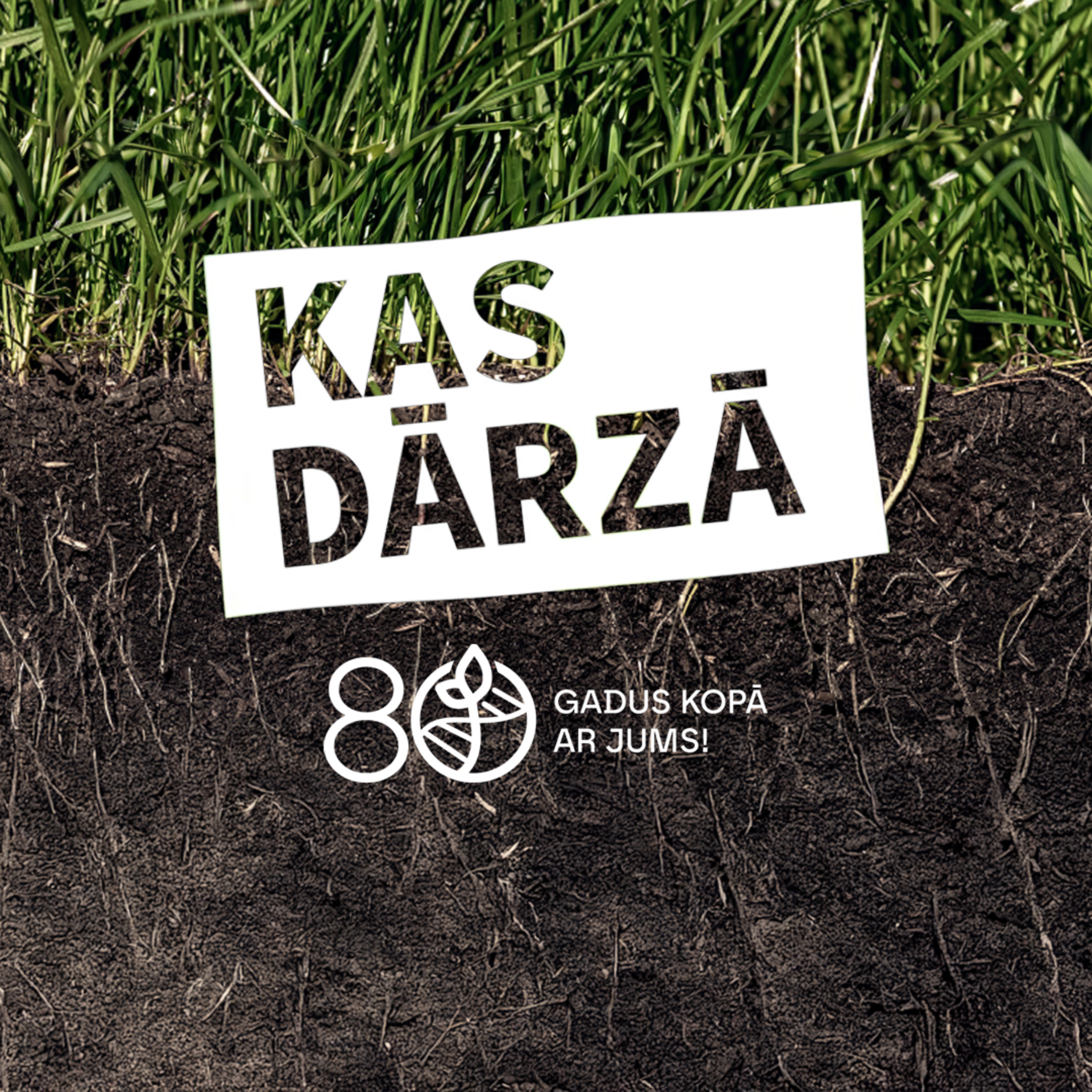Kas dārzā | Dārzkopības institūta raidieraksts podcast artwork